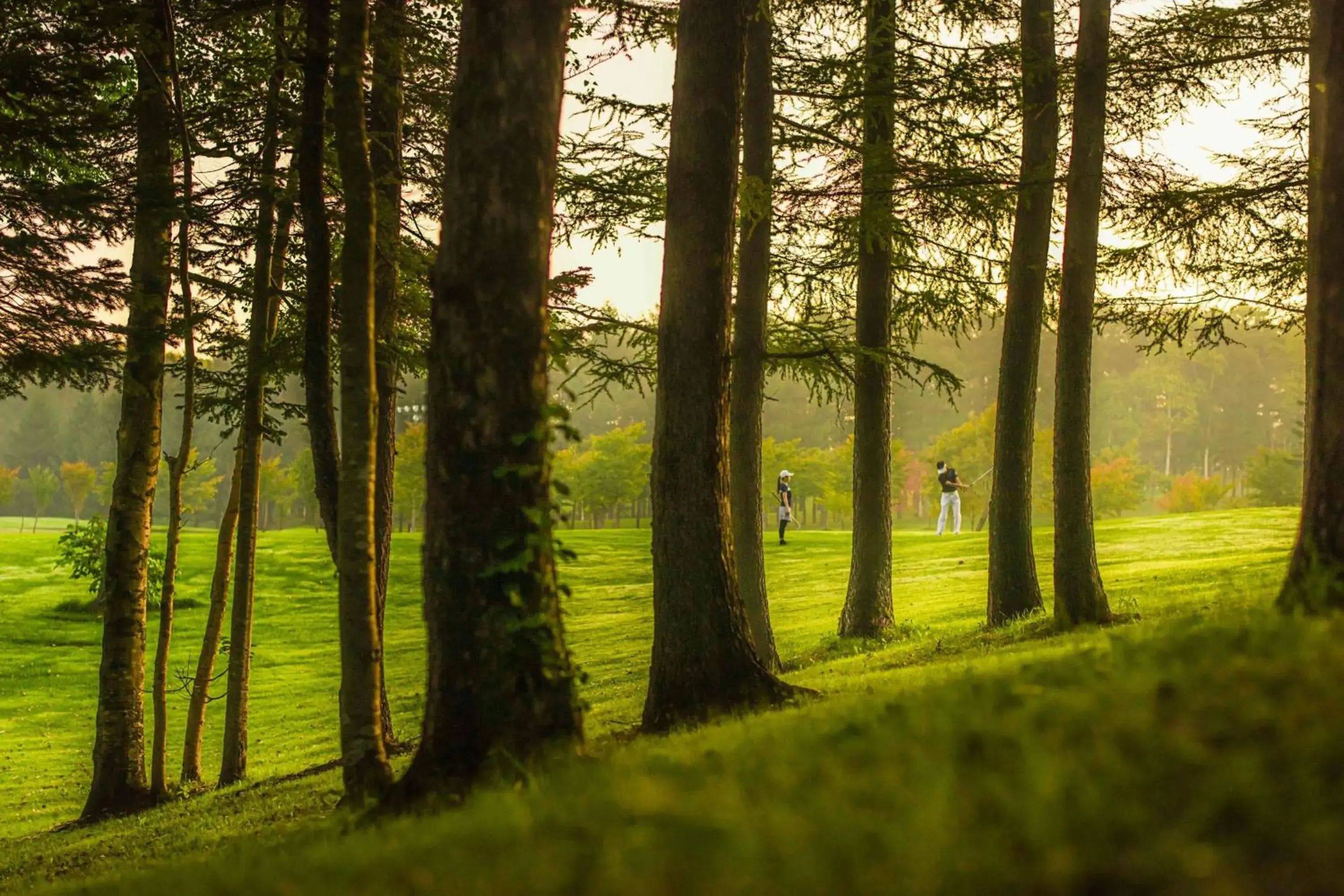 Golfcourse in The Westin Rusutsu Resort