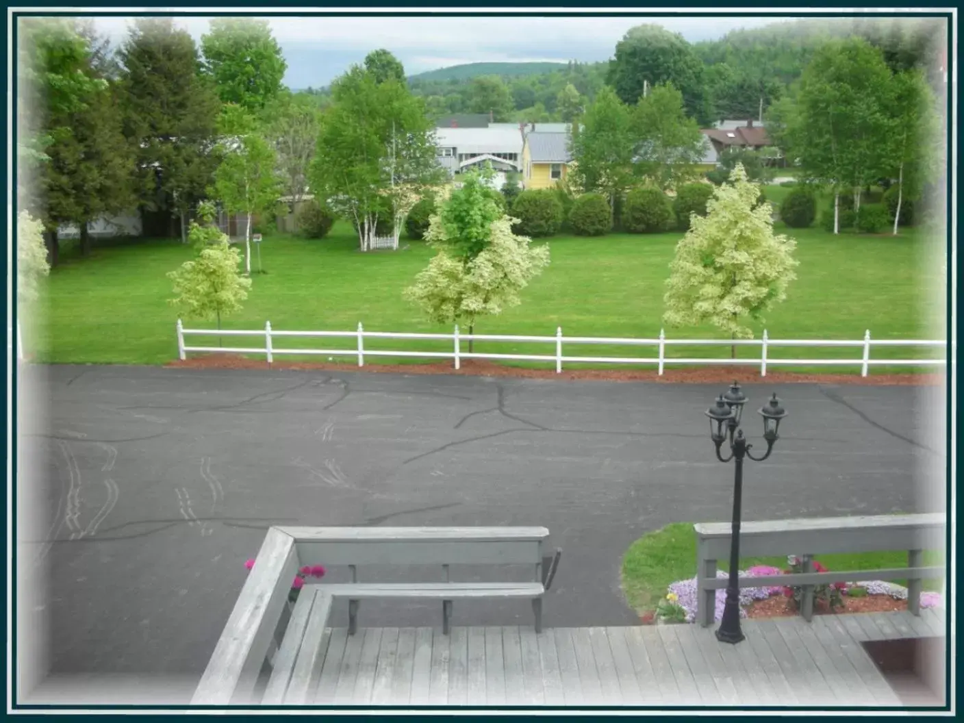 Natural landscape in Boardwalk Inn