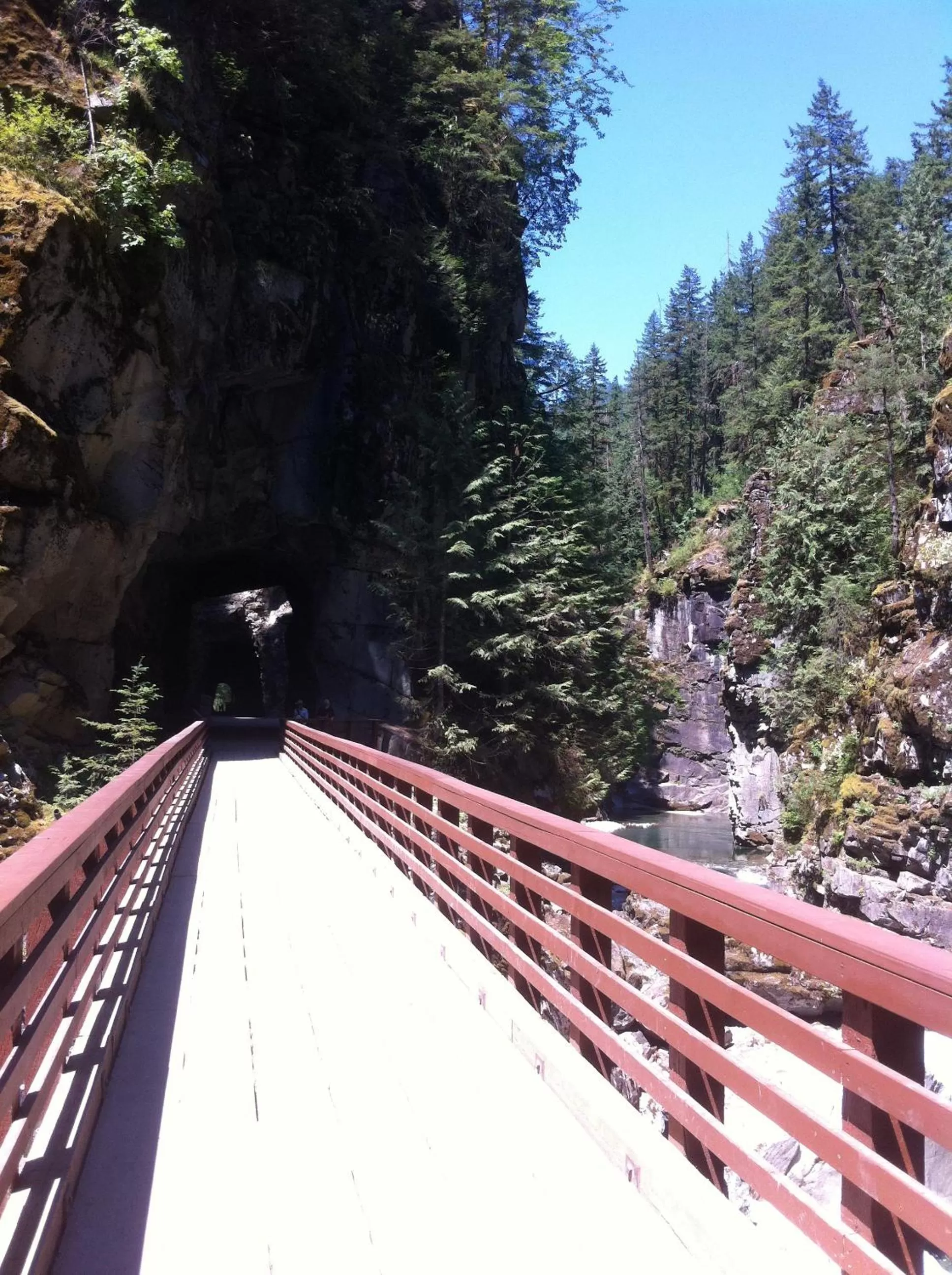 Hiking in Evergreen Bed & Breakfast