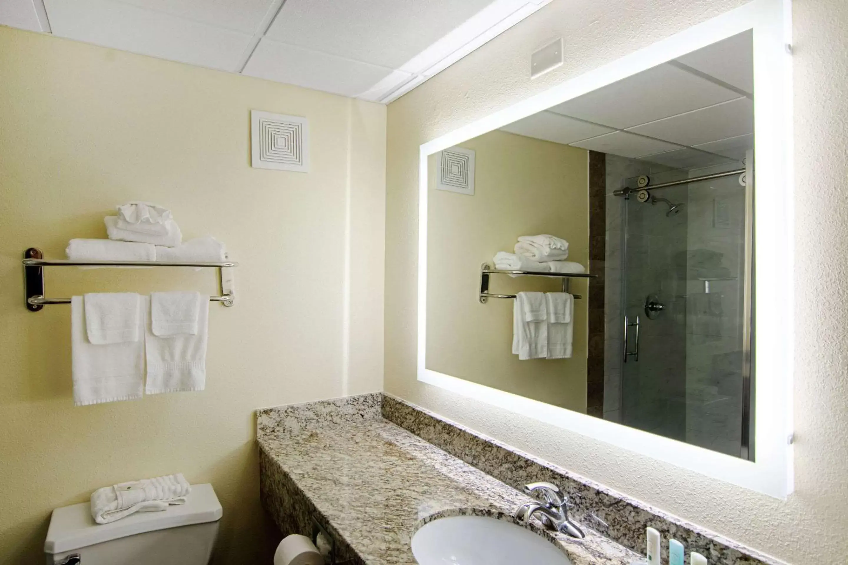 Photo of the whole room, Bathroom in Quality Inn Richburg