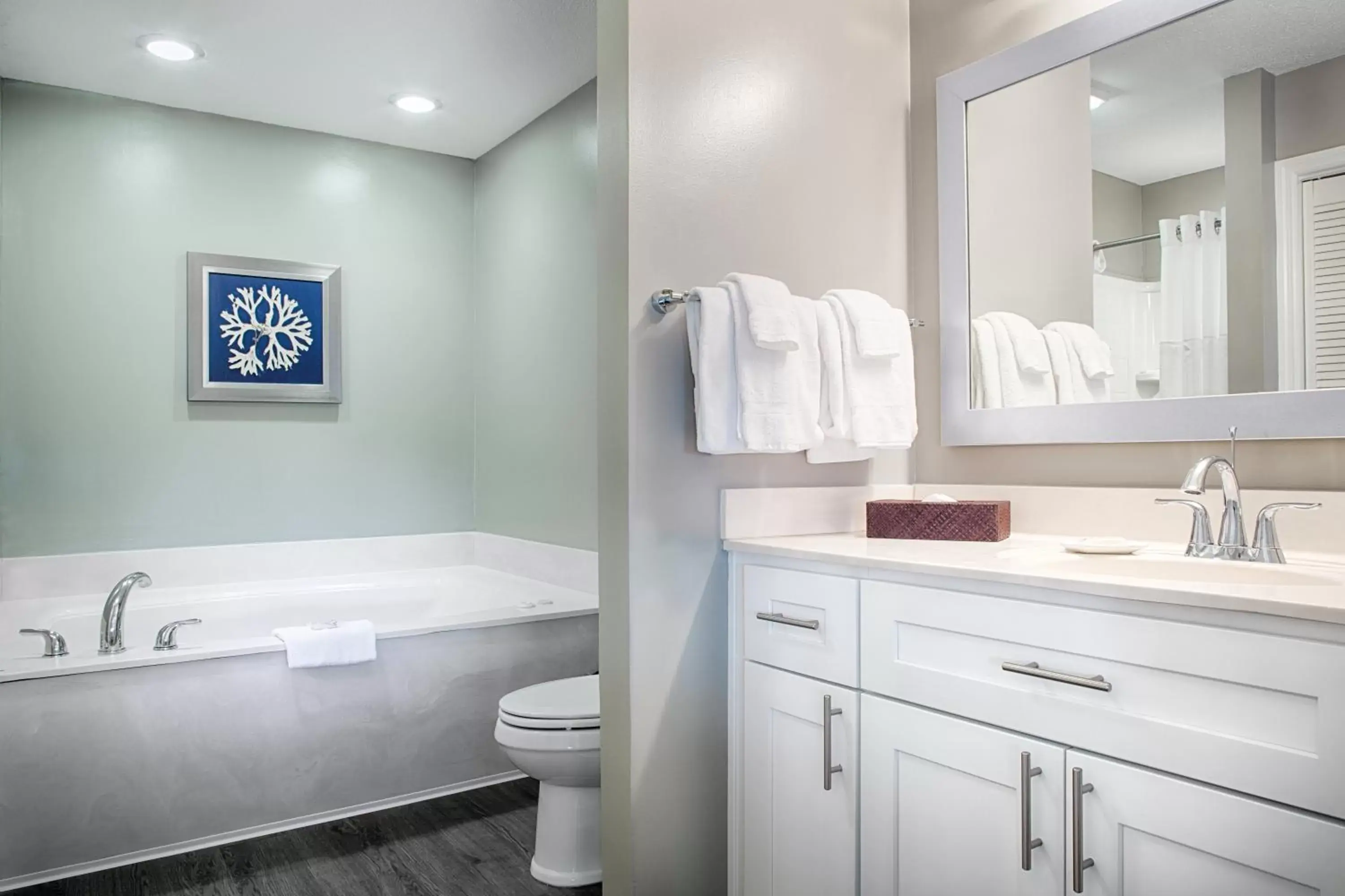 Bathroom in Club Wyndham Ocean Ridge