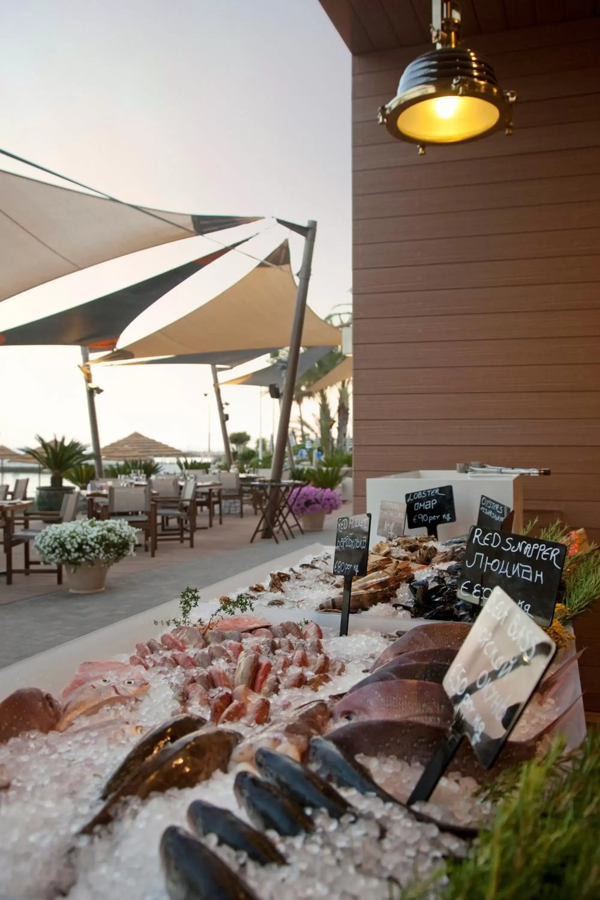 Food and drinks in Amathus Beach Hotel Limassol