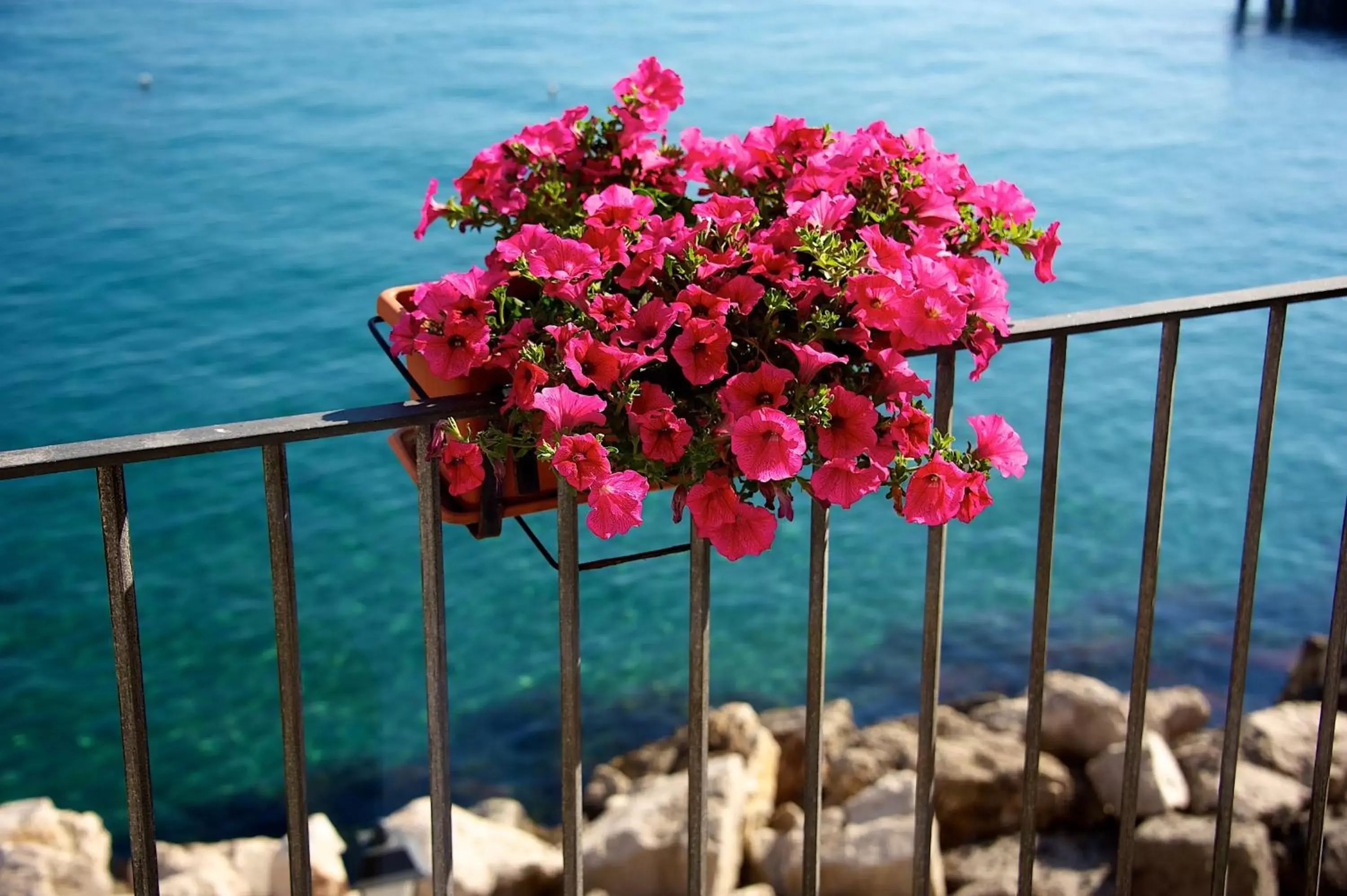 Balcony/Terrace in Villa Lieta