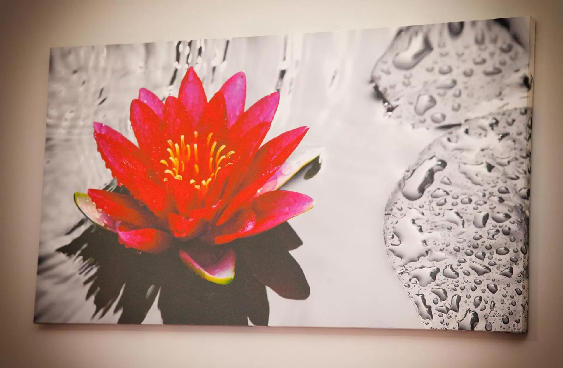 Decorative detail in Domus Armenio