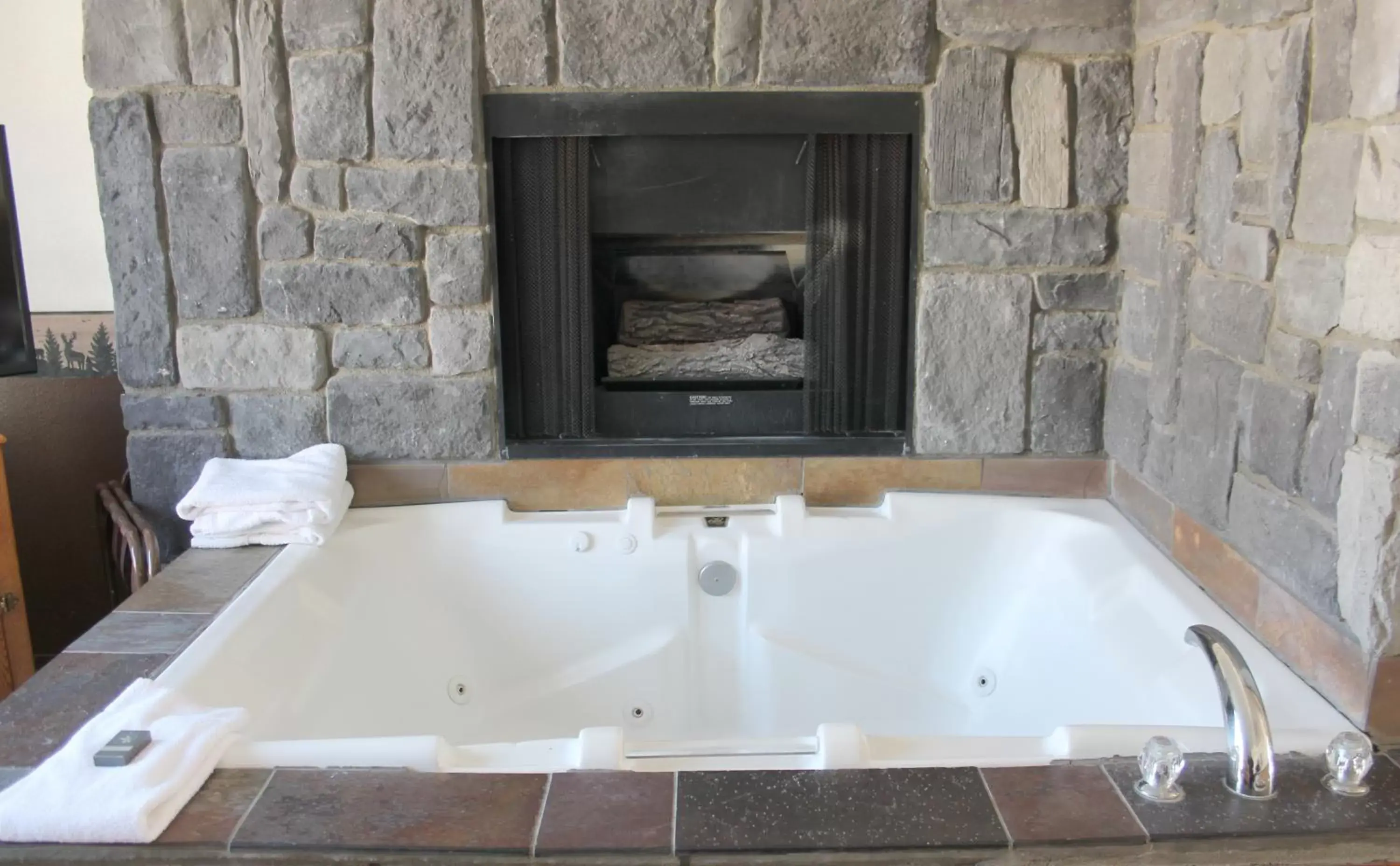 Hot Tub, Bathroom in Fireside Lodge