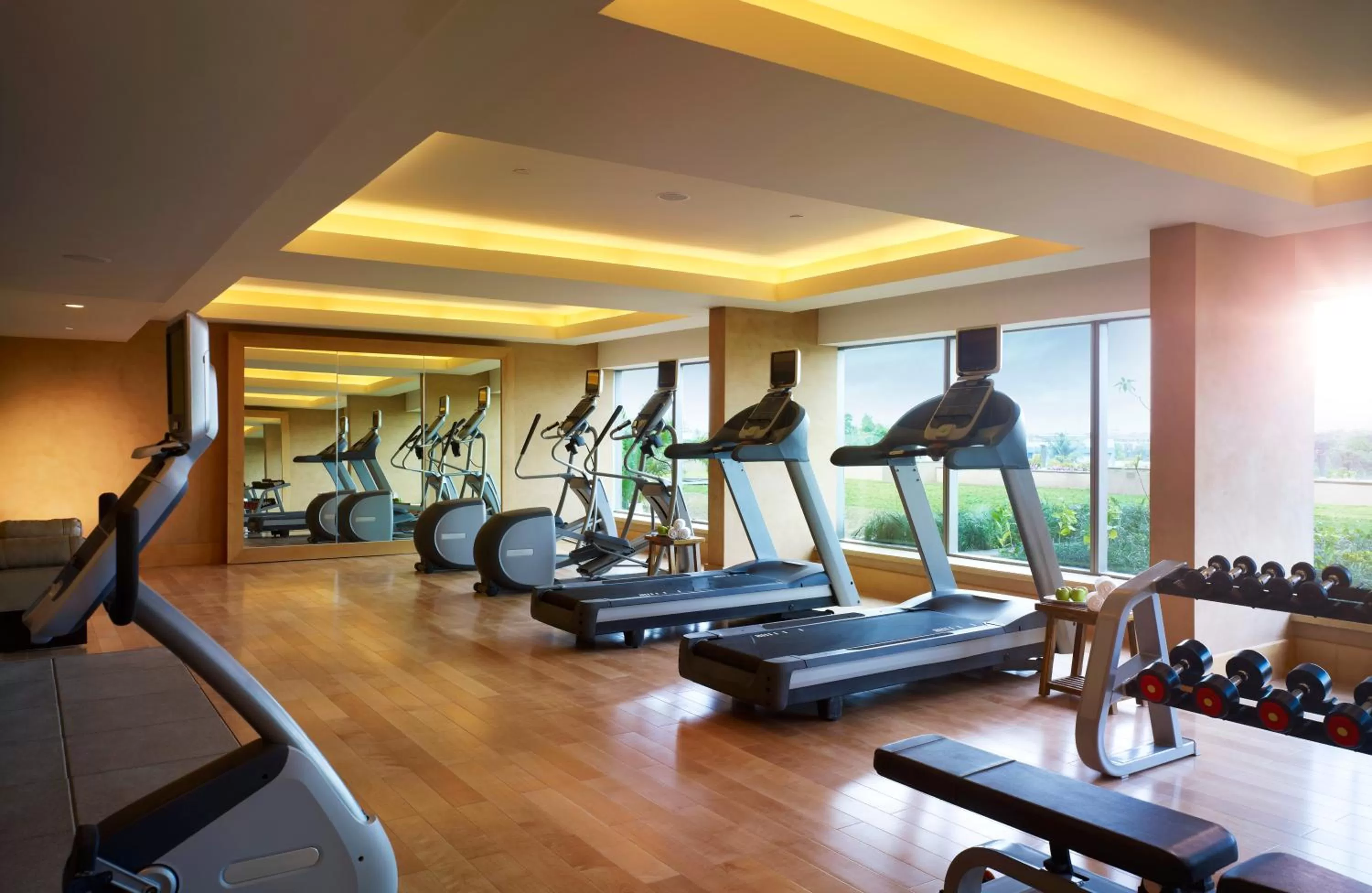 Fitness centre/facilities in Vivanta Coimbatore