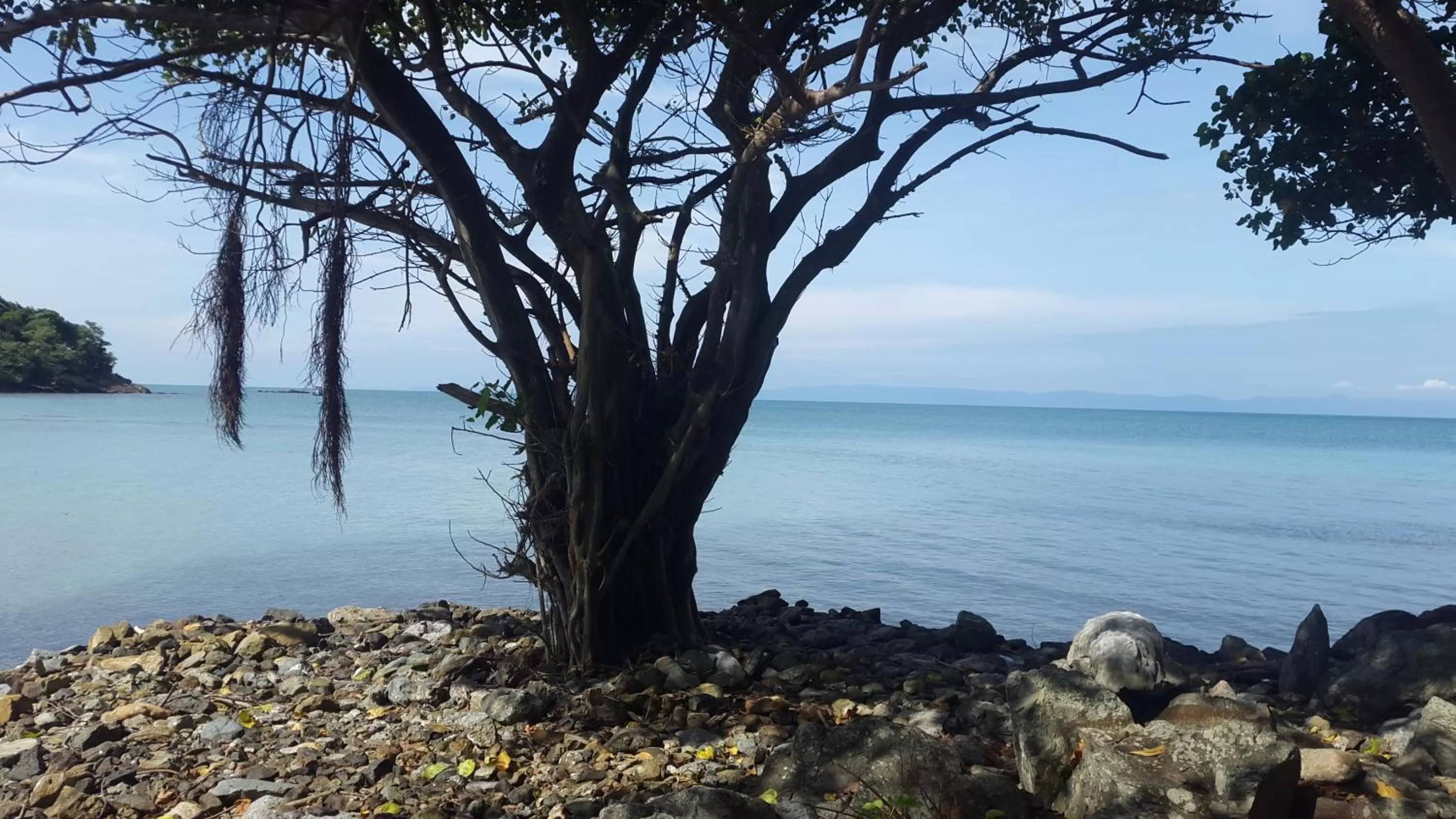 Area and facilities in River Hotel