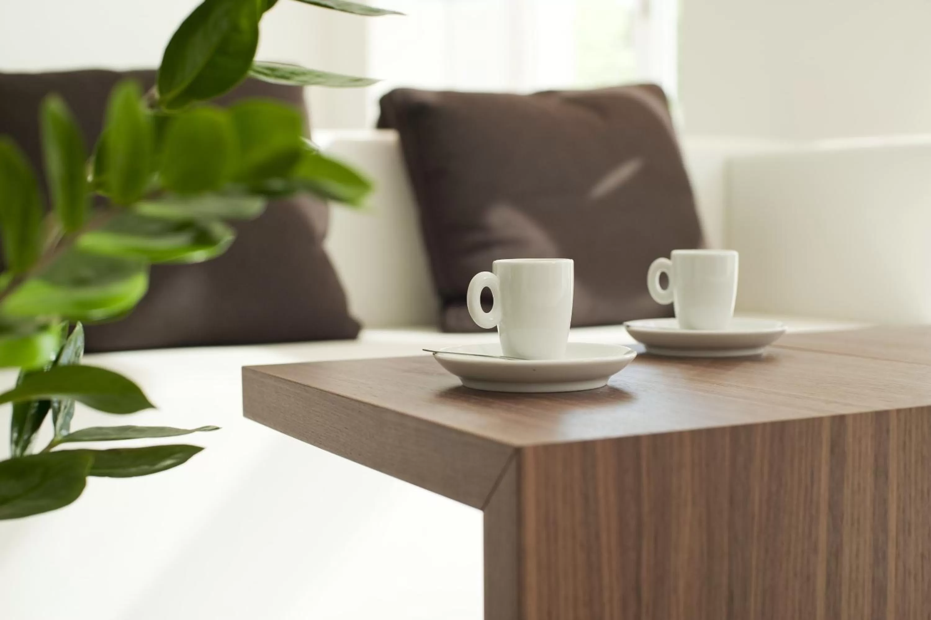 Decorative detail in Hotel Constantia