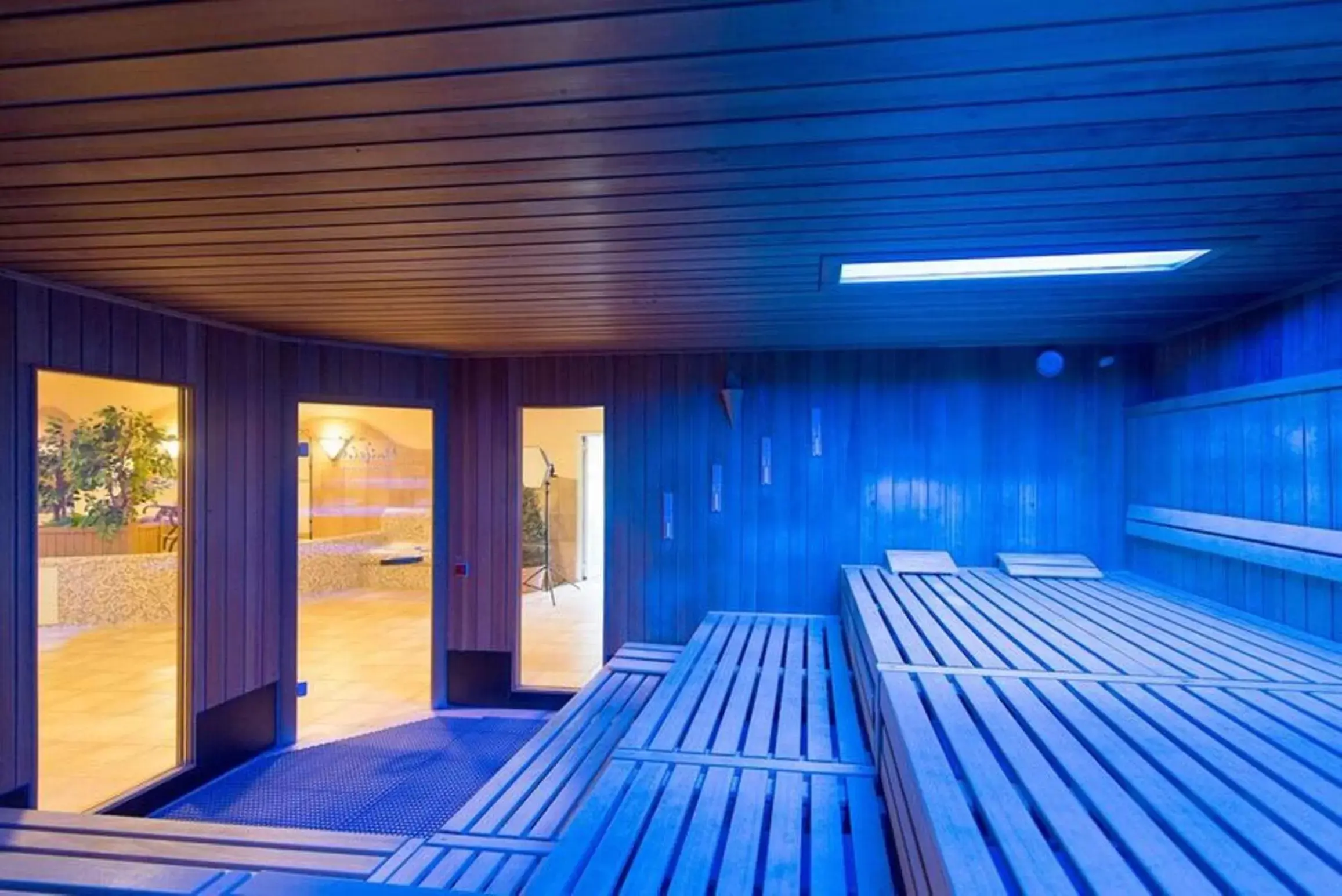 Sauna, Business Area/Conference Room in Maifeld Sport- und Tagungshotel