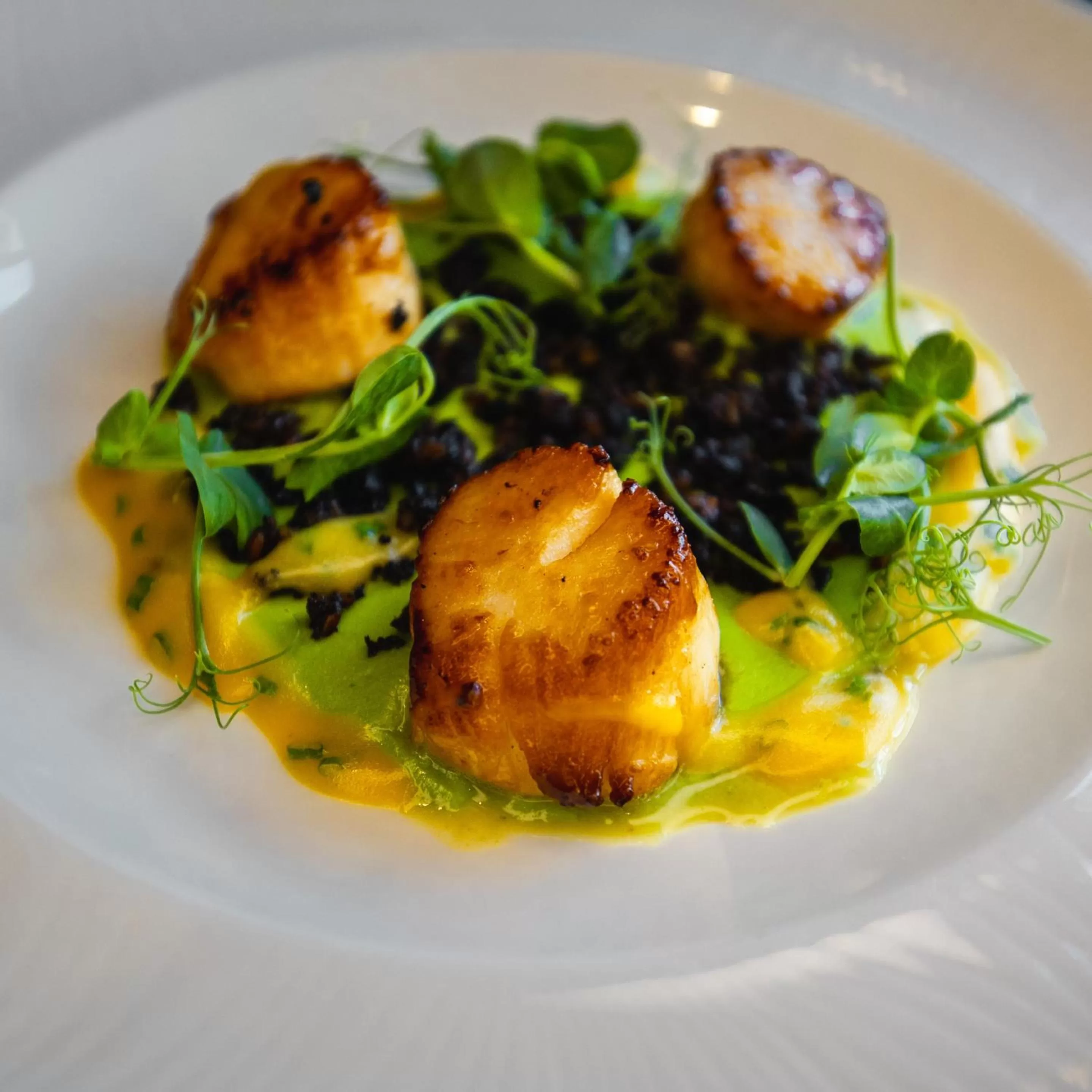 Food close-up in Shannon Springs Hotel