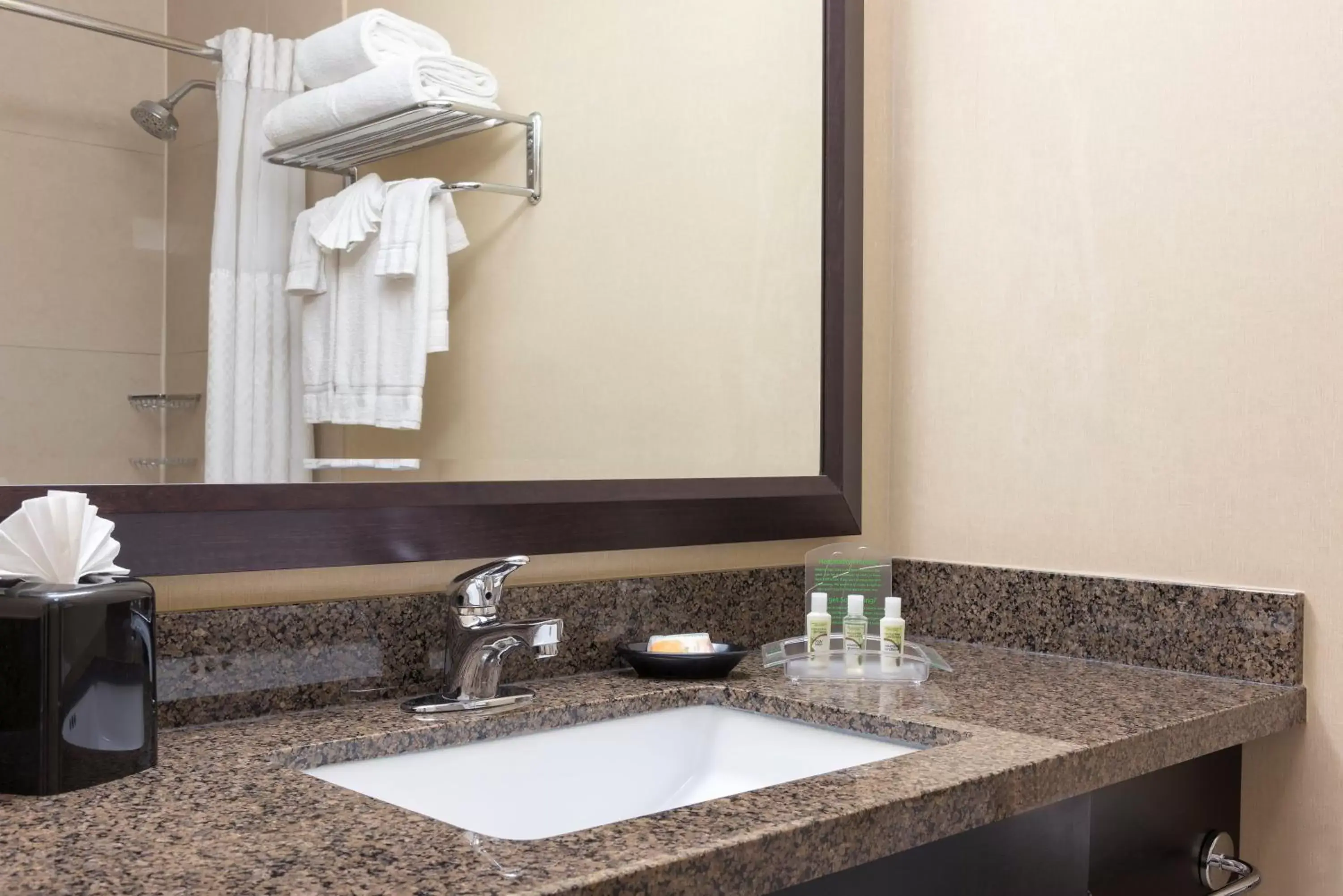 Bathroom in Holiday Inn Chicago - Elk Grove, an IHG Hotel
