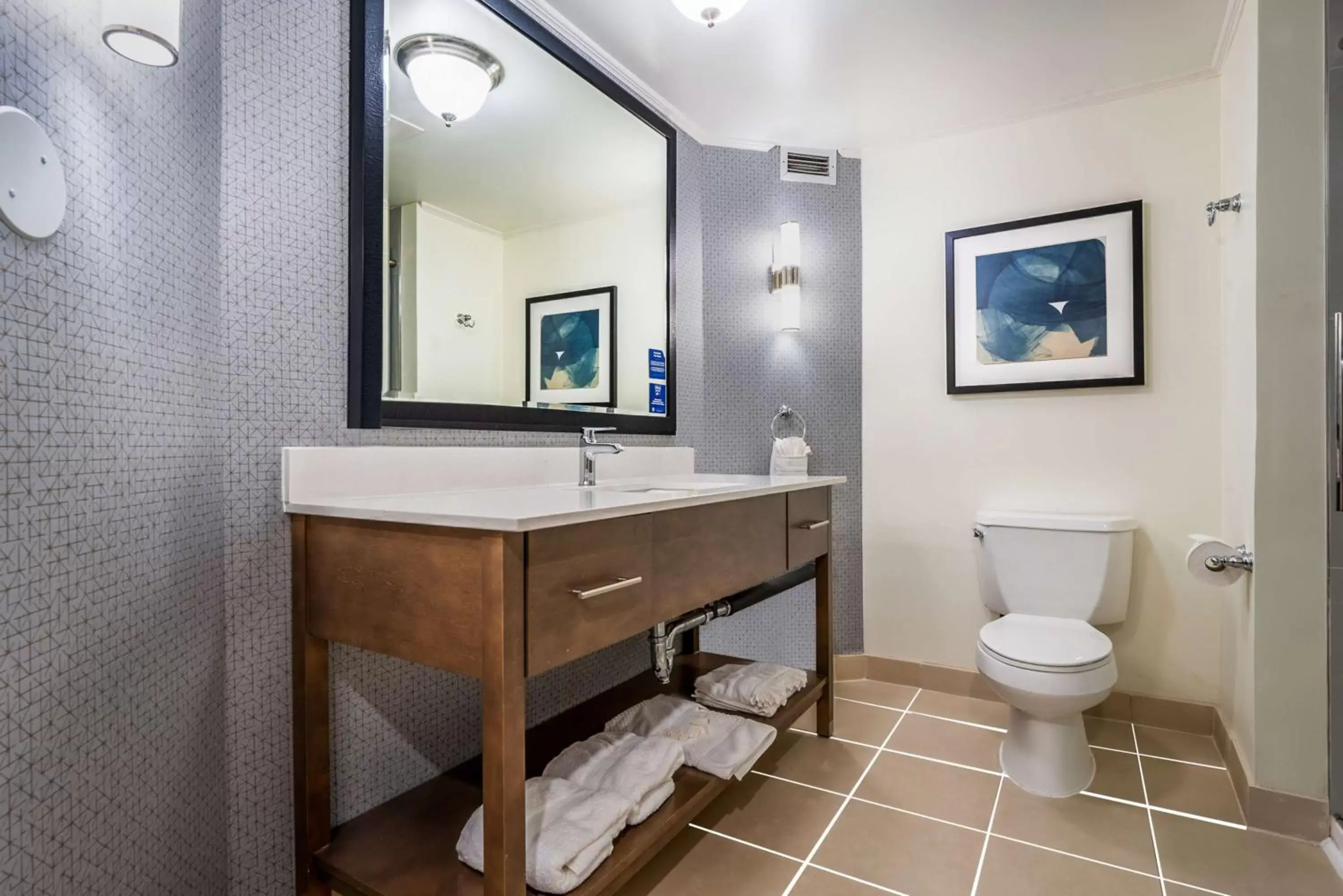 Bathroom in DoubleTree by Hilton South Charlotte Tyvola