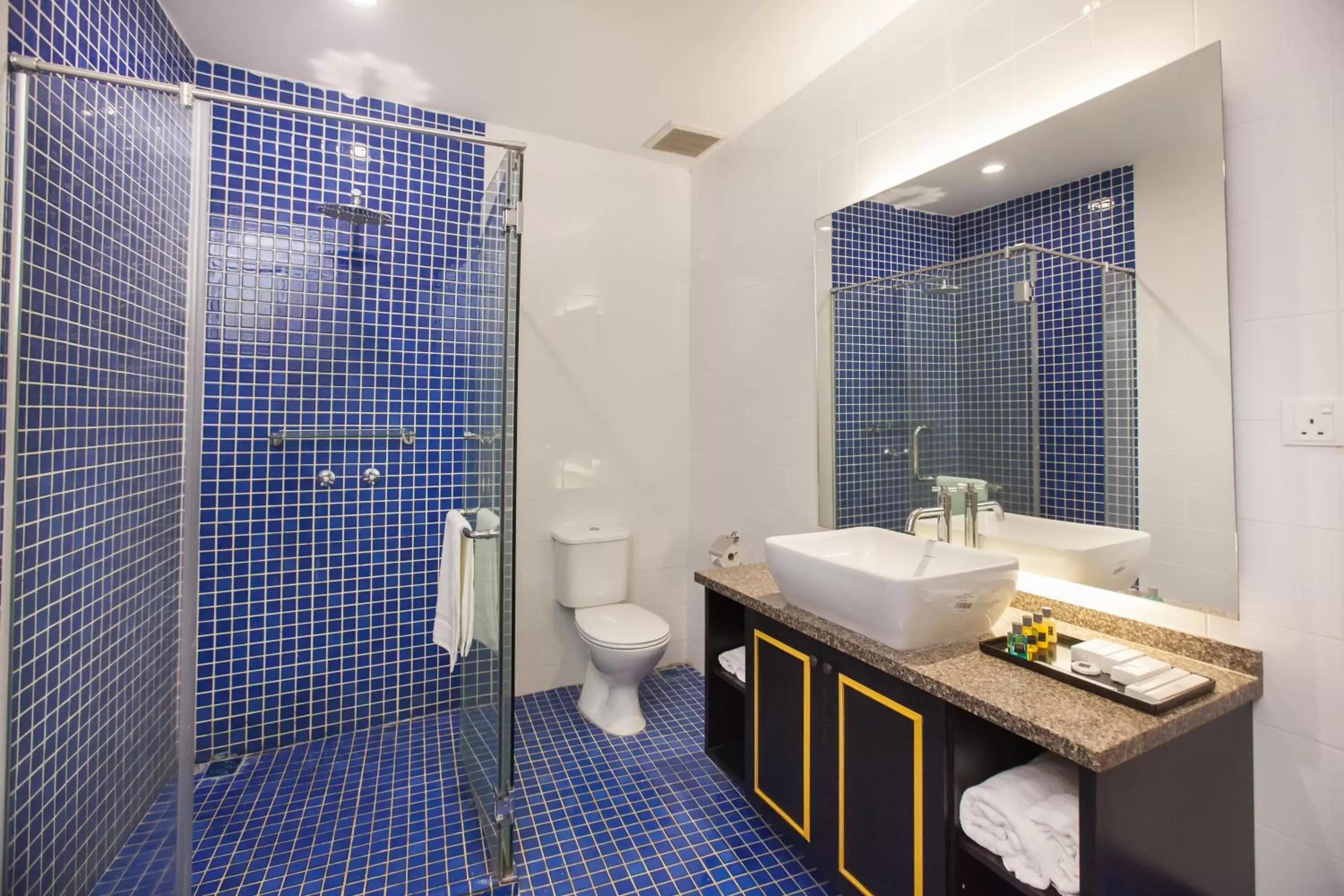 Toilet, Bathroom in Apple Heritage Hotel