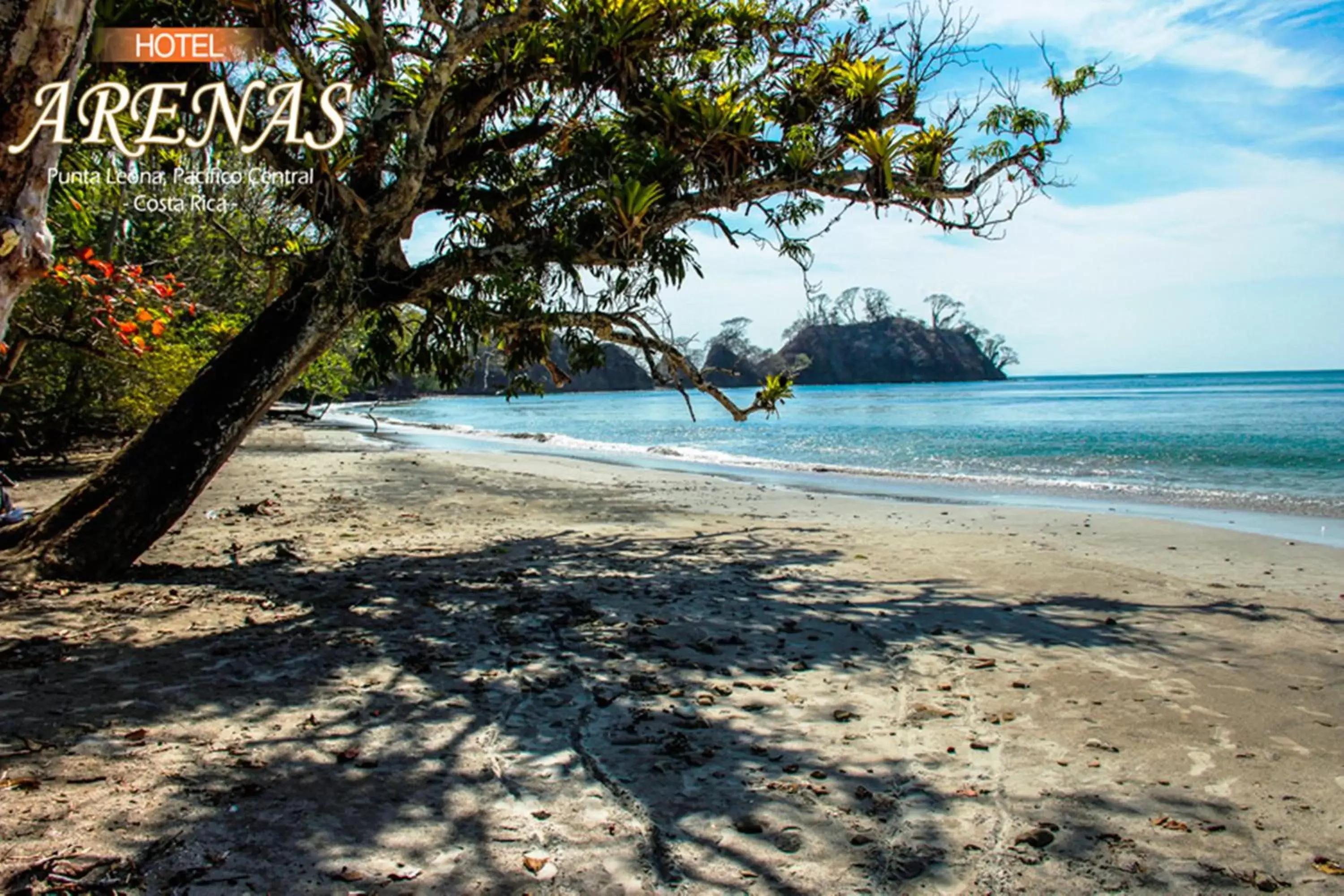 Beach in Hotel Arenas en Punta Leona