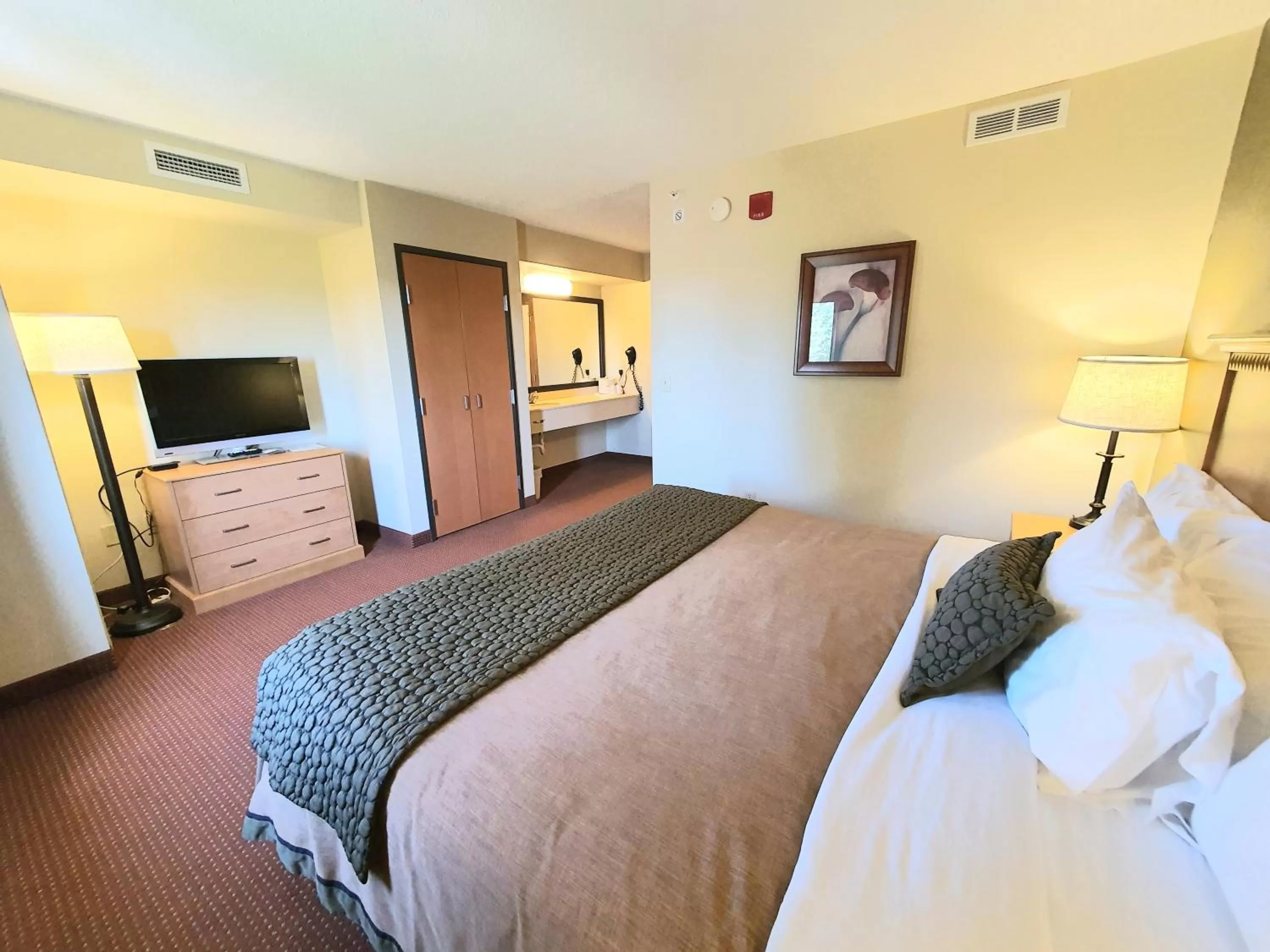 Premier King Studio Suite - Non-Smoking in AmeriVu Inn and Suites - Waconia