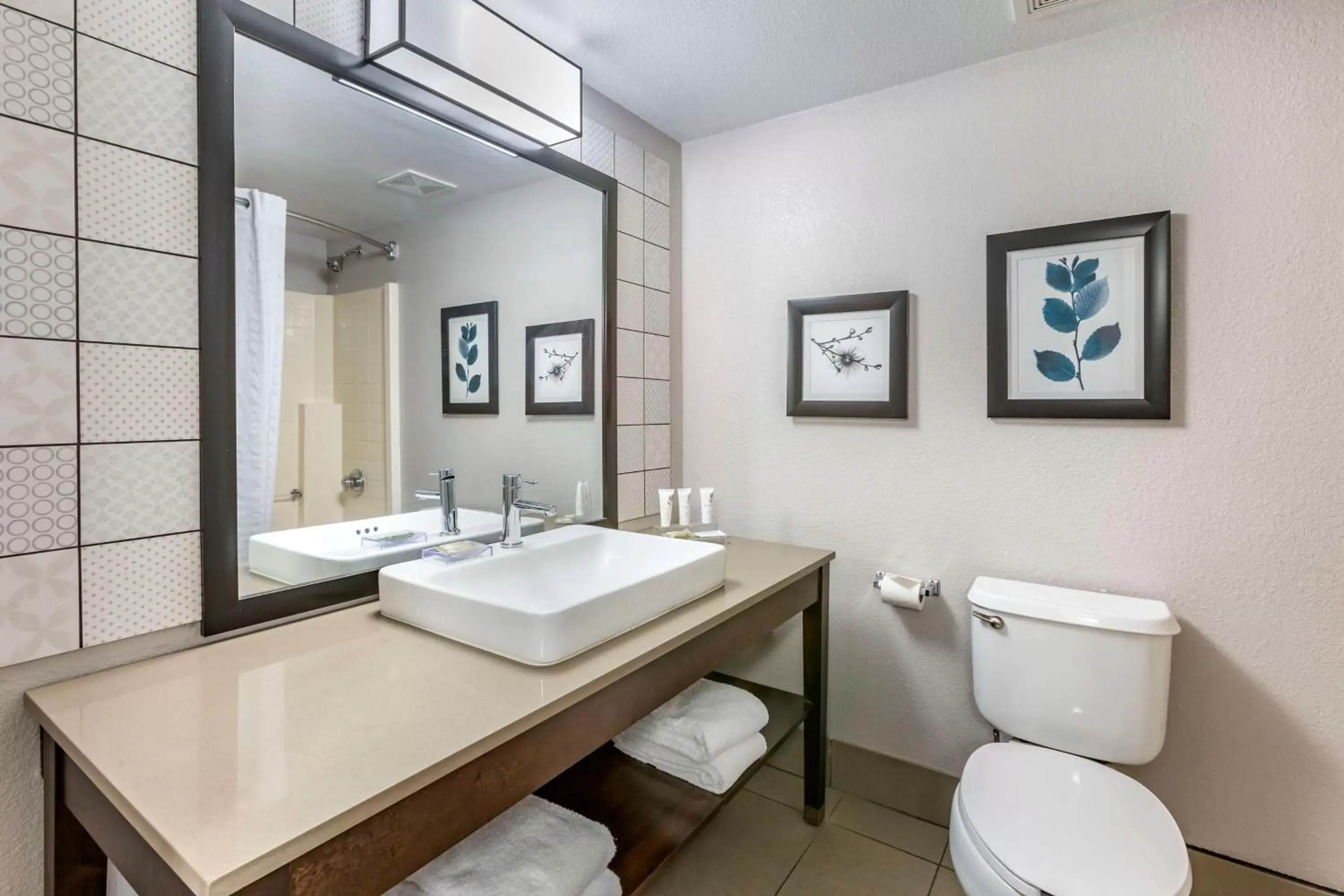 Bathroom in Country Inn & Suites by Radisson, Mesa, AZ