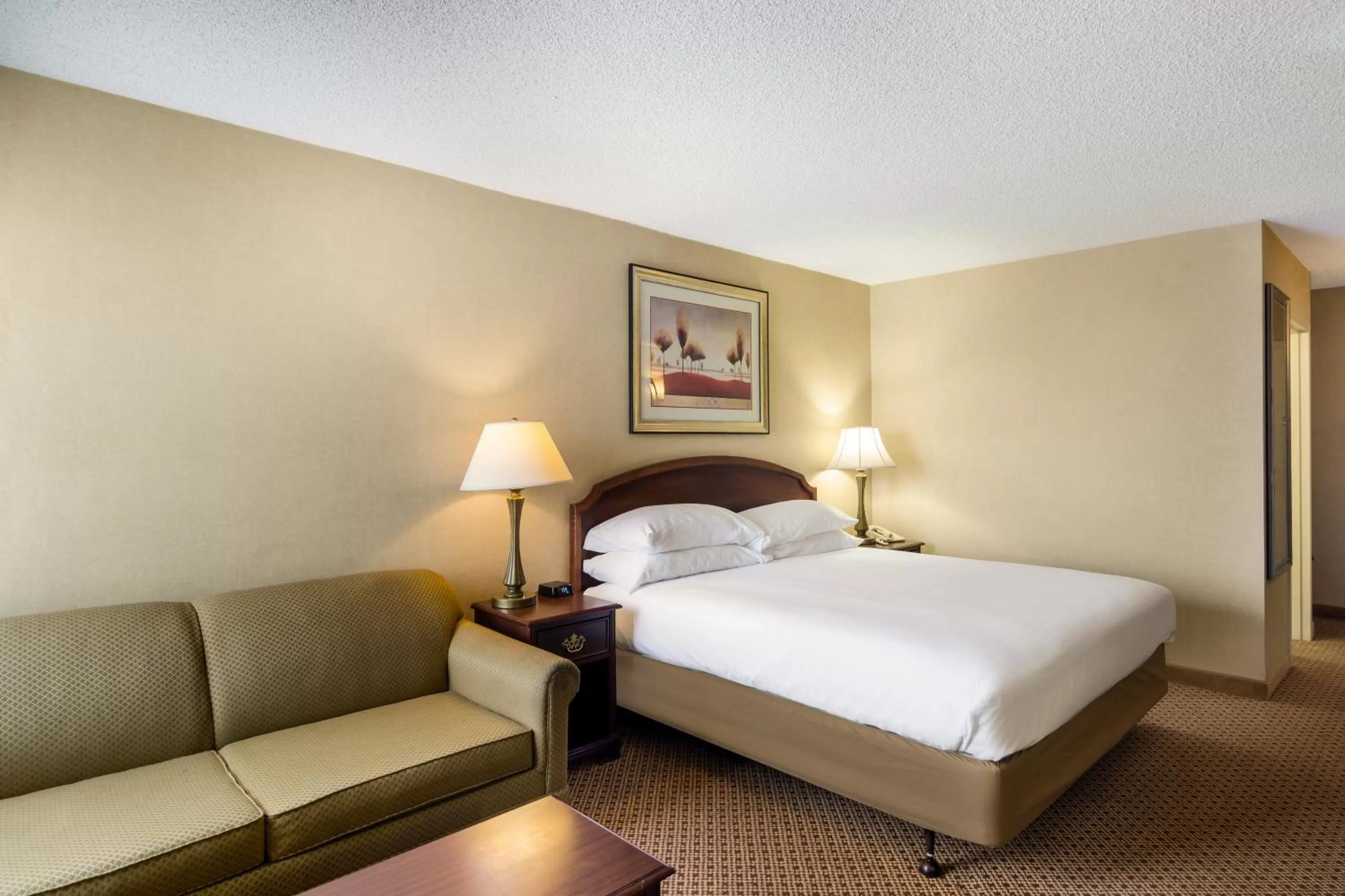 One King Bed in Red Lion Hotel Cheyenne