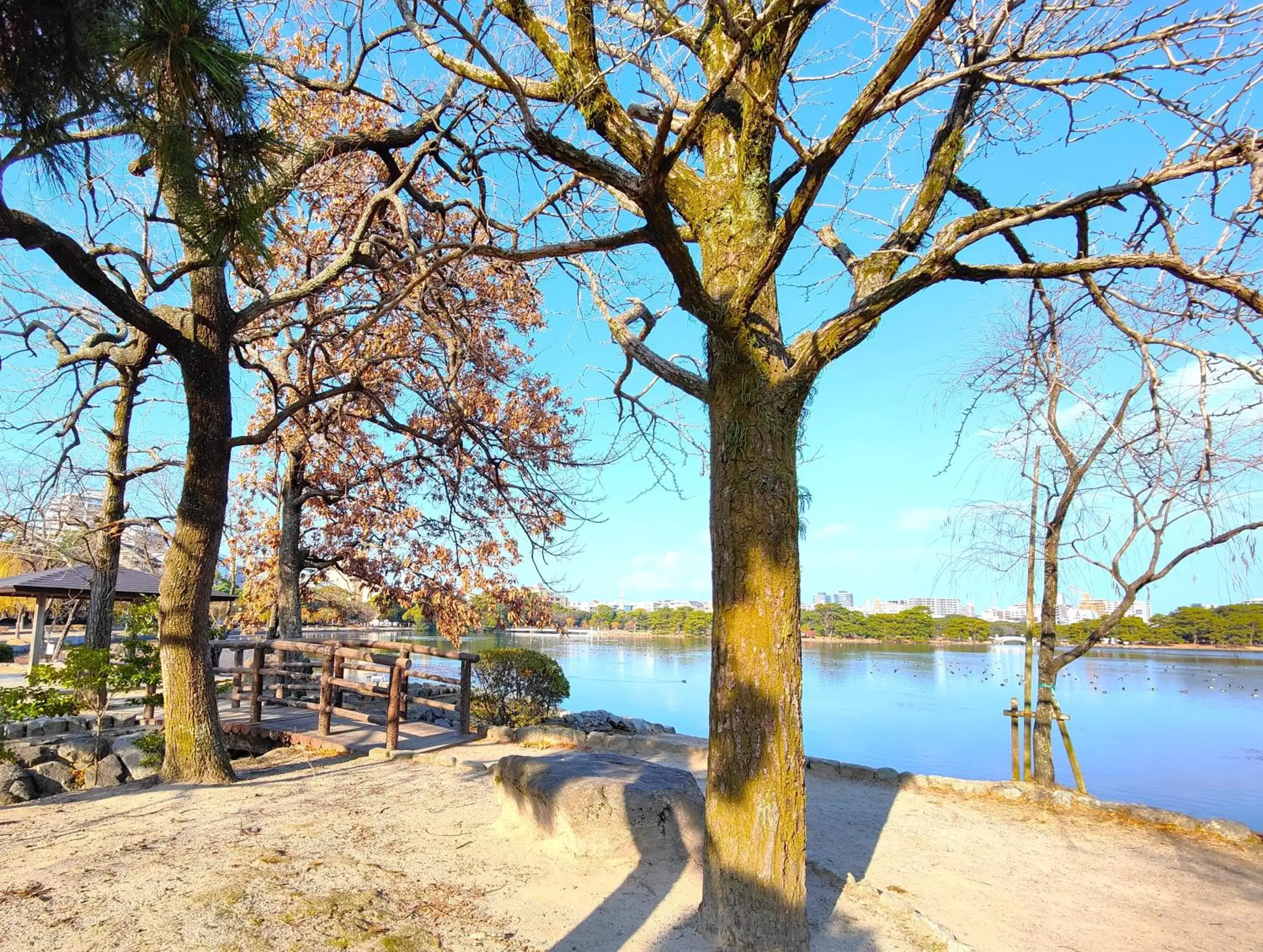 Natural landscape in Heiwadai Hotel Otemon