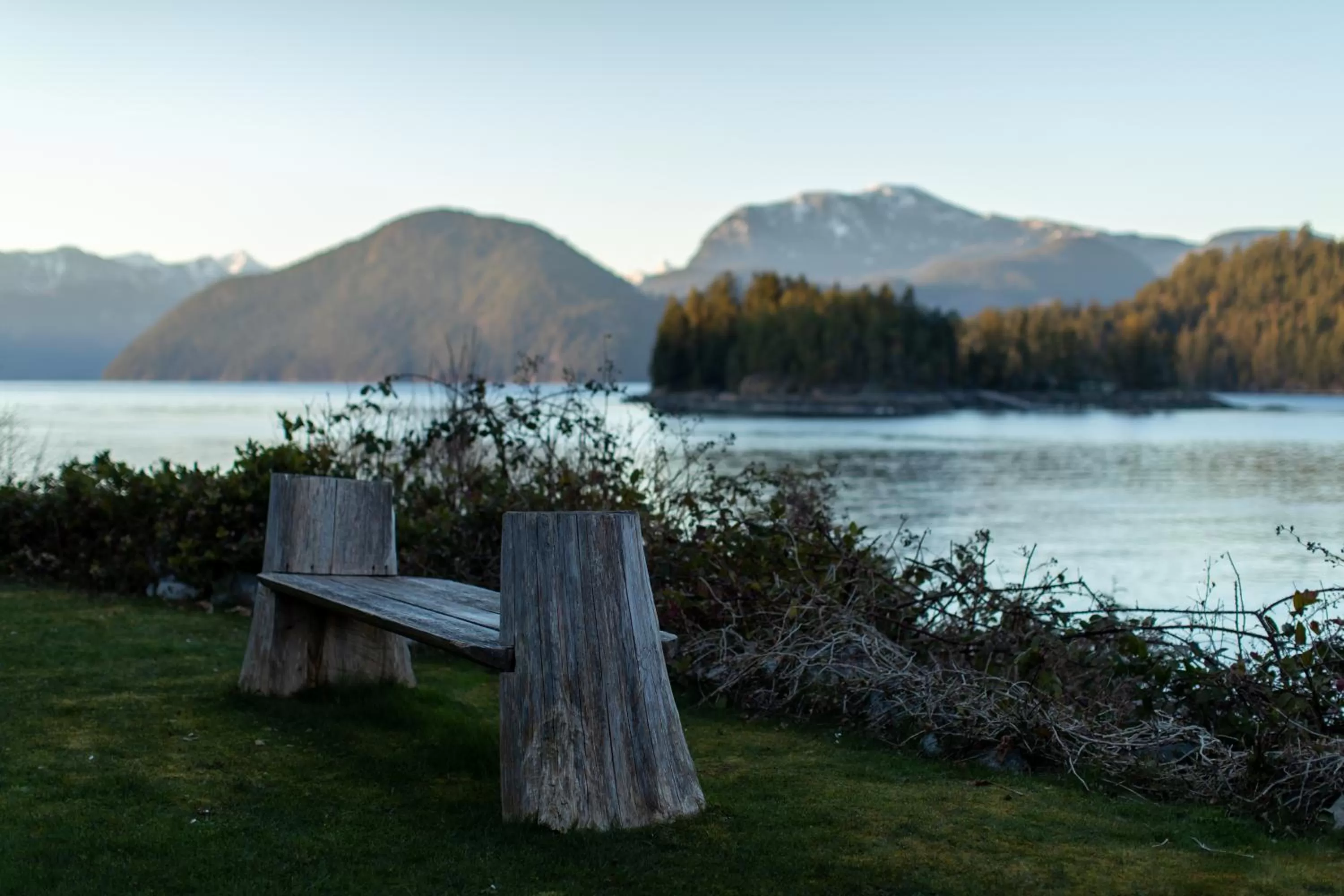 Garden in Backeddy Resort and Marina