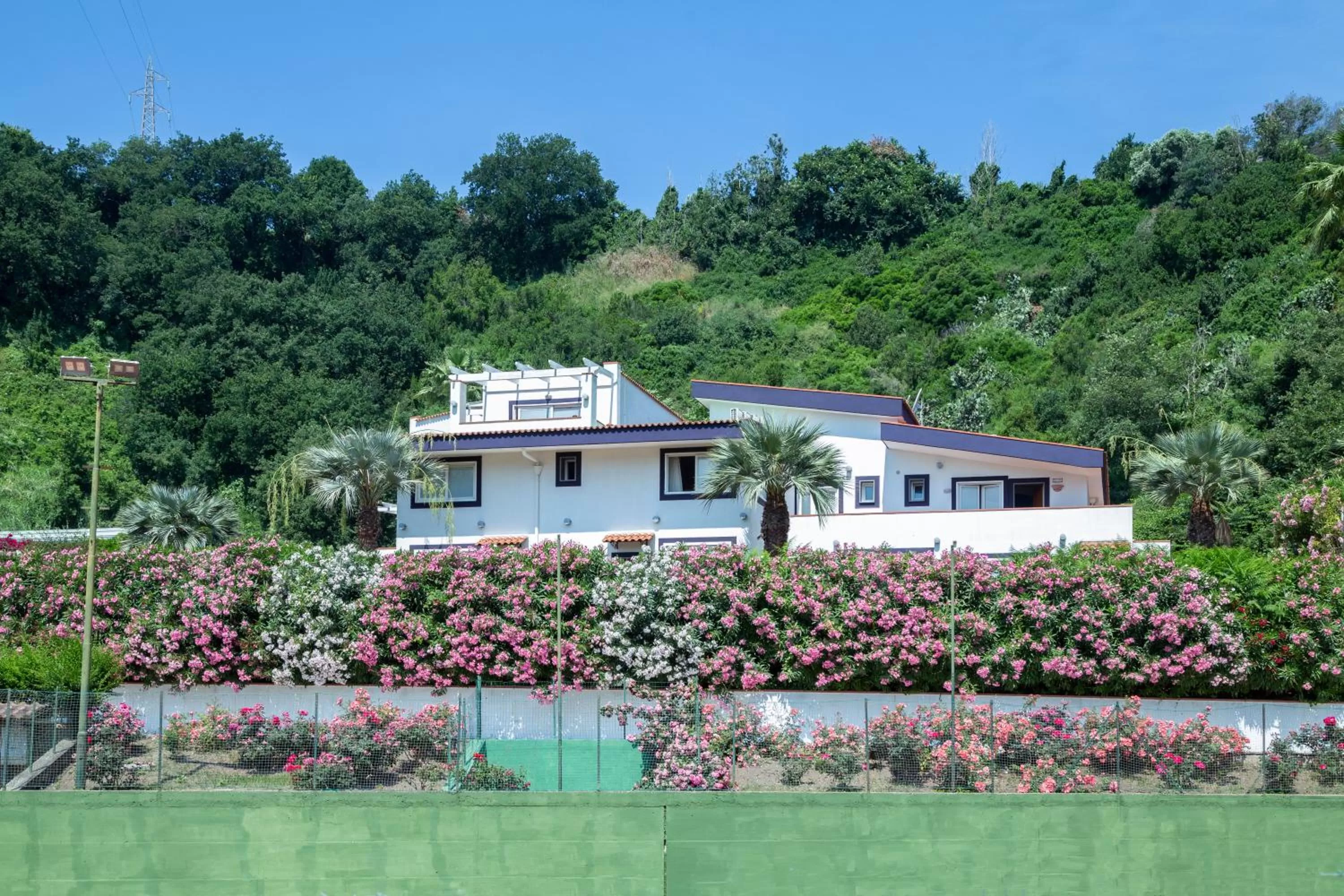 Property building in Agave Hotel