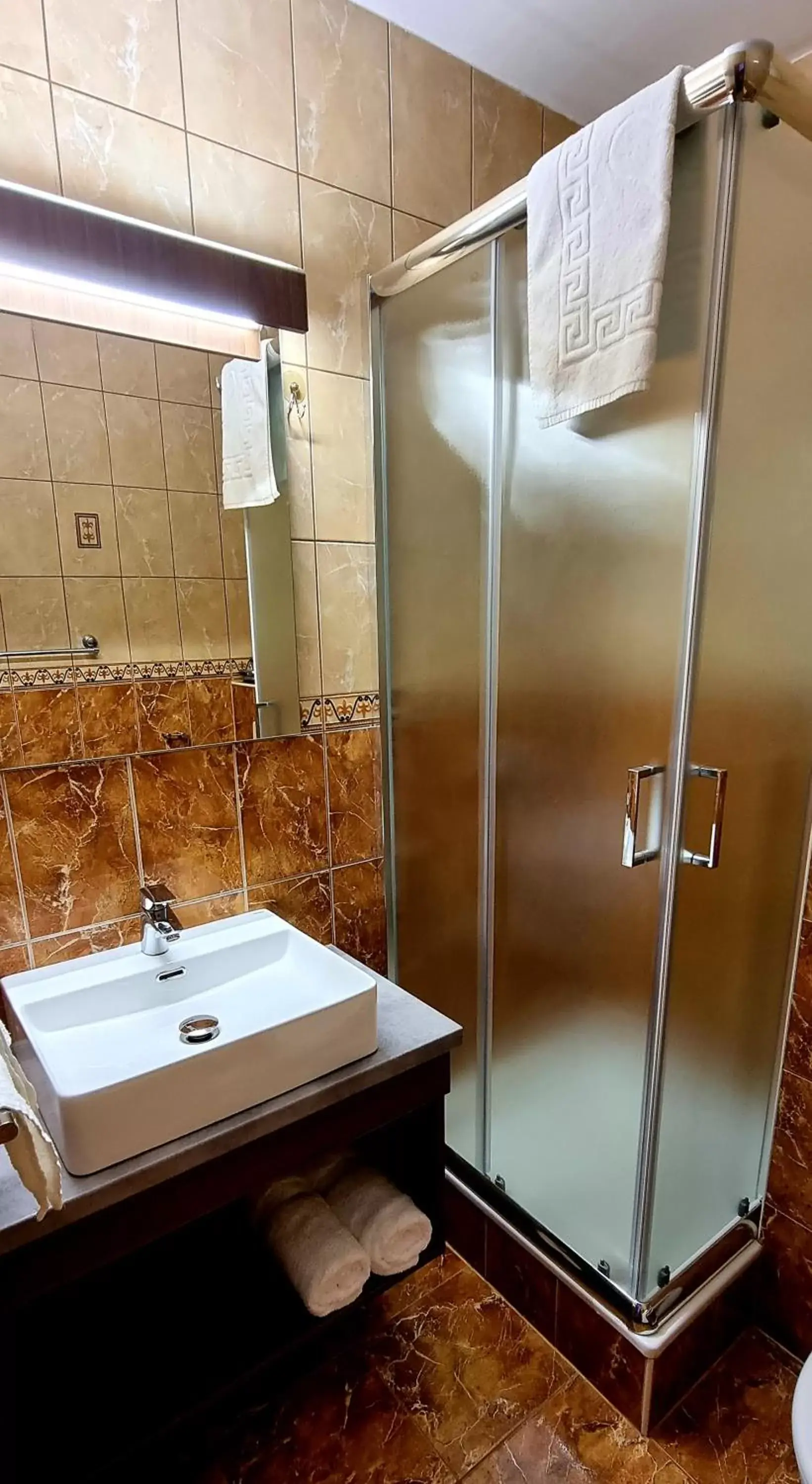 Shower, Bathroom in Hotel Viktória