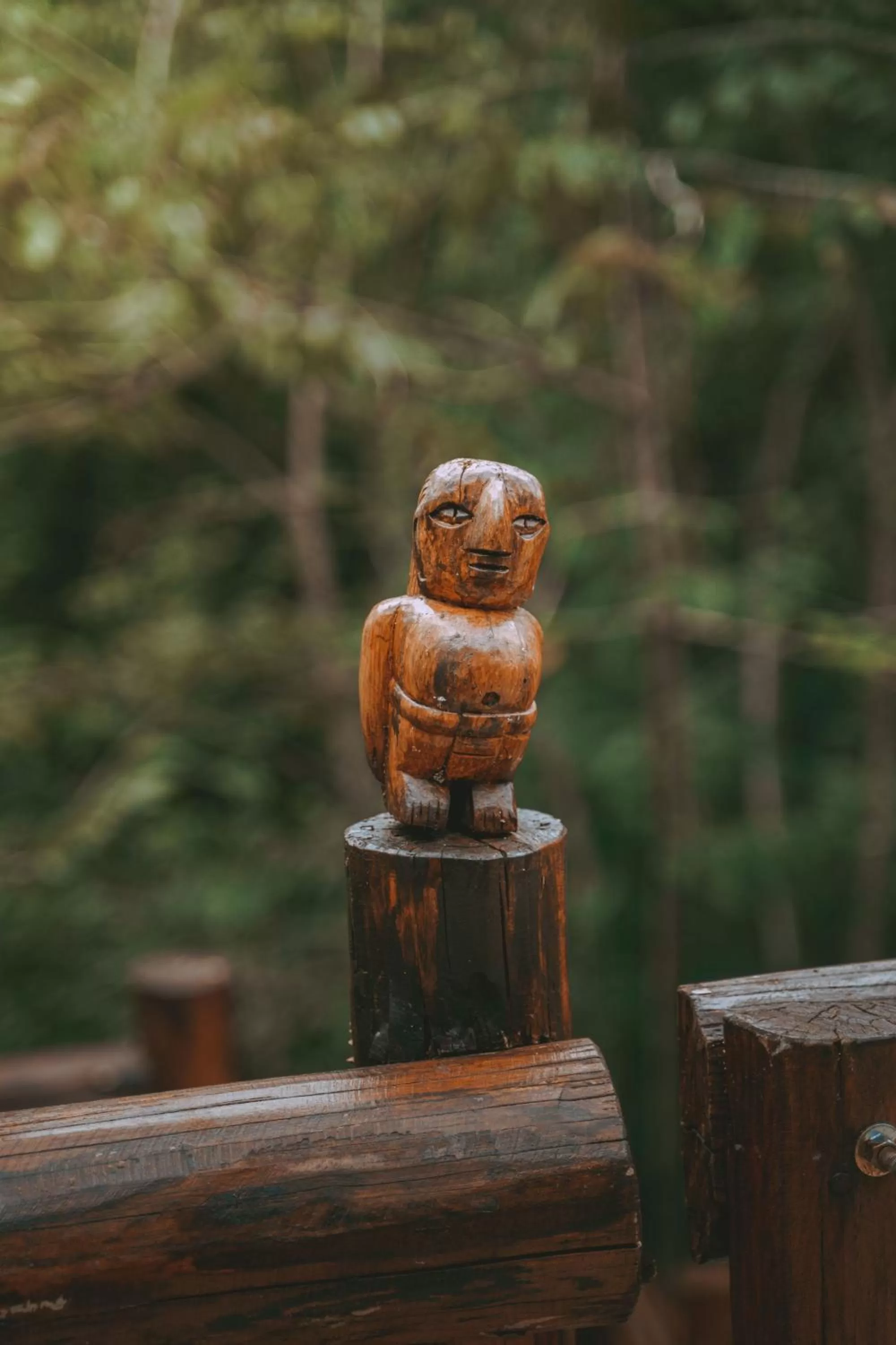 Day in Destino Mío Mayan Jungle Retreat