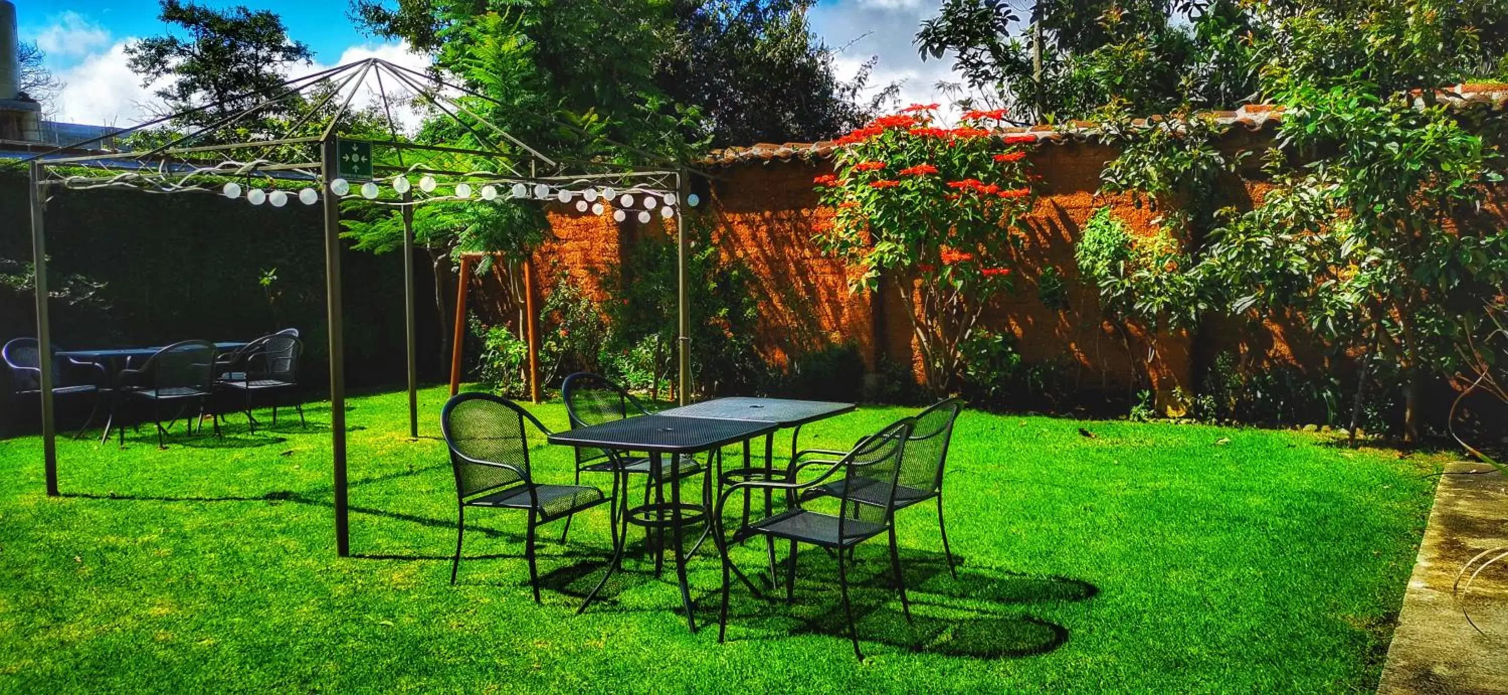 Garden in Hotel Ocho Barrios