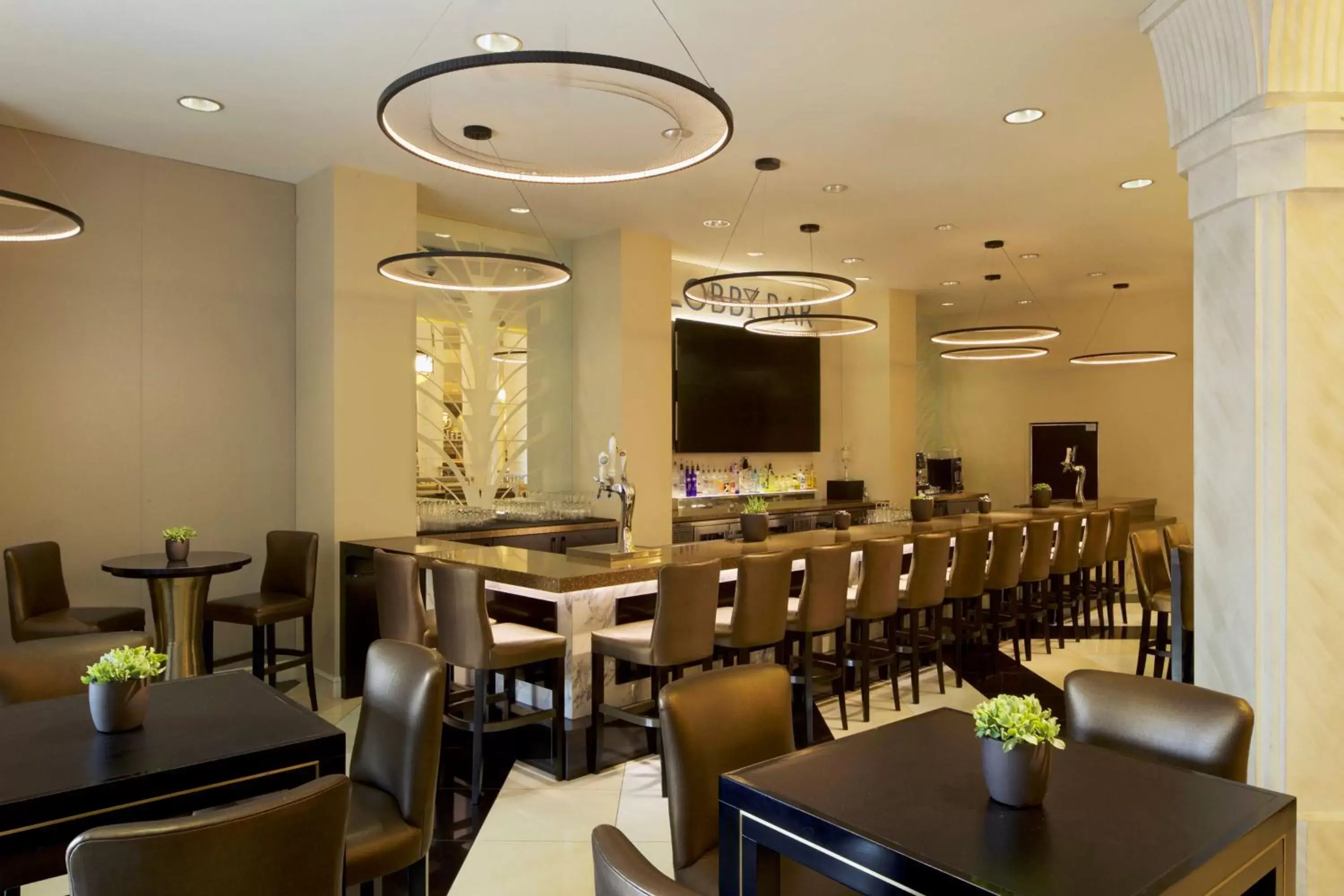 Lounge or bar, Restaurant/Places to Eat in Hilton Grand Vacations Club on the Las Vegas Strip