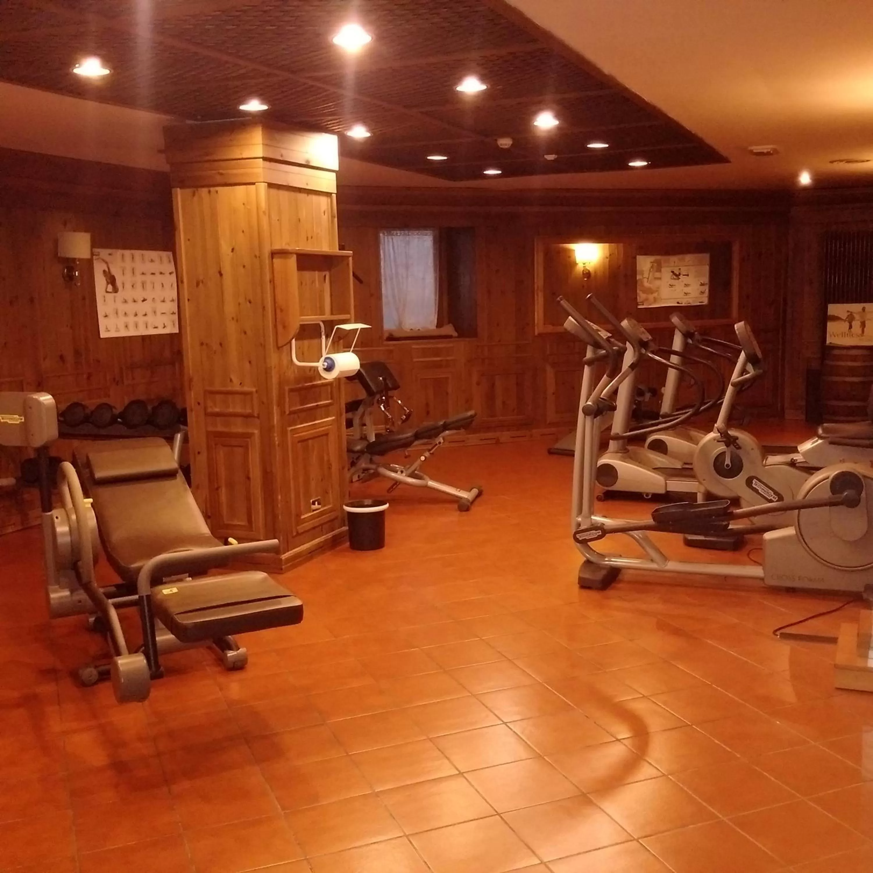 Fitness centre/facilities in Hotel Alaska Cortina