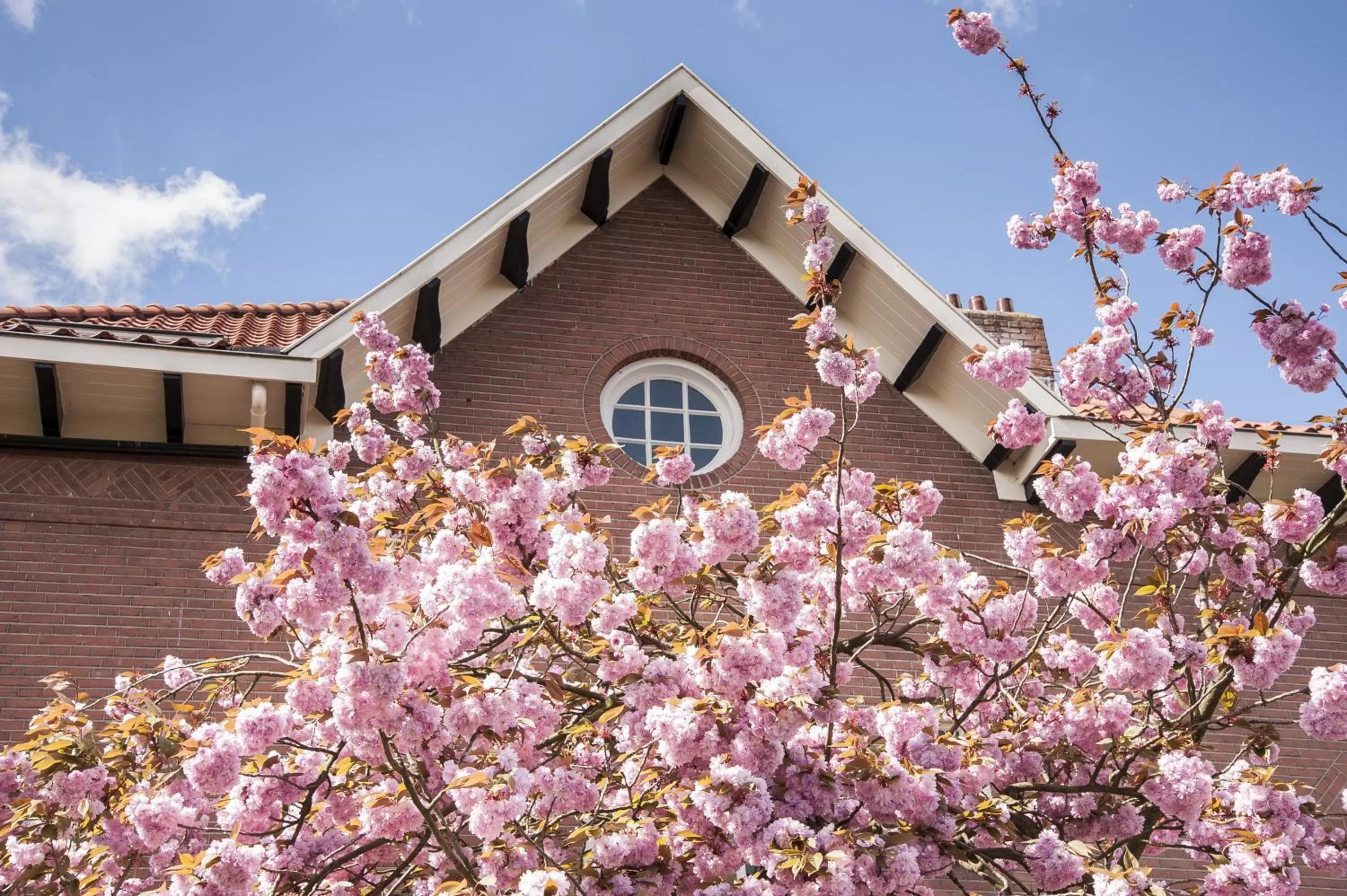 Facade/entrance, Property Building in B&B De Schiedamse Suites