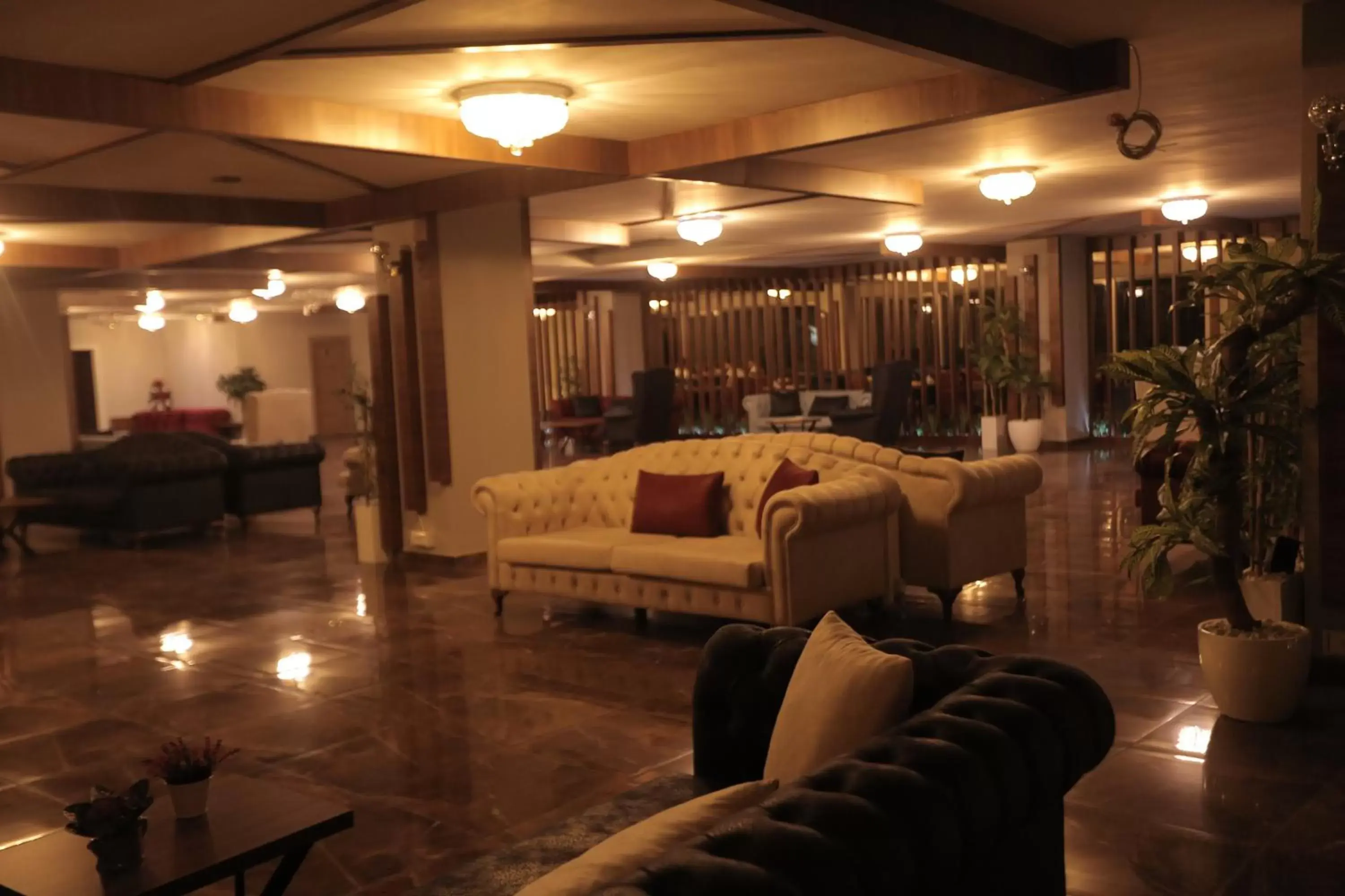 Lobby/Reception in TEVETOGLU HOTEL