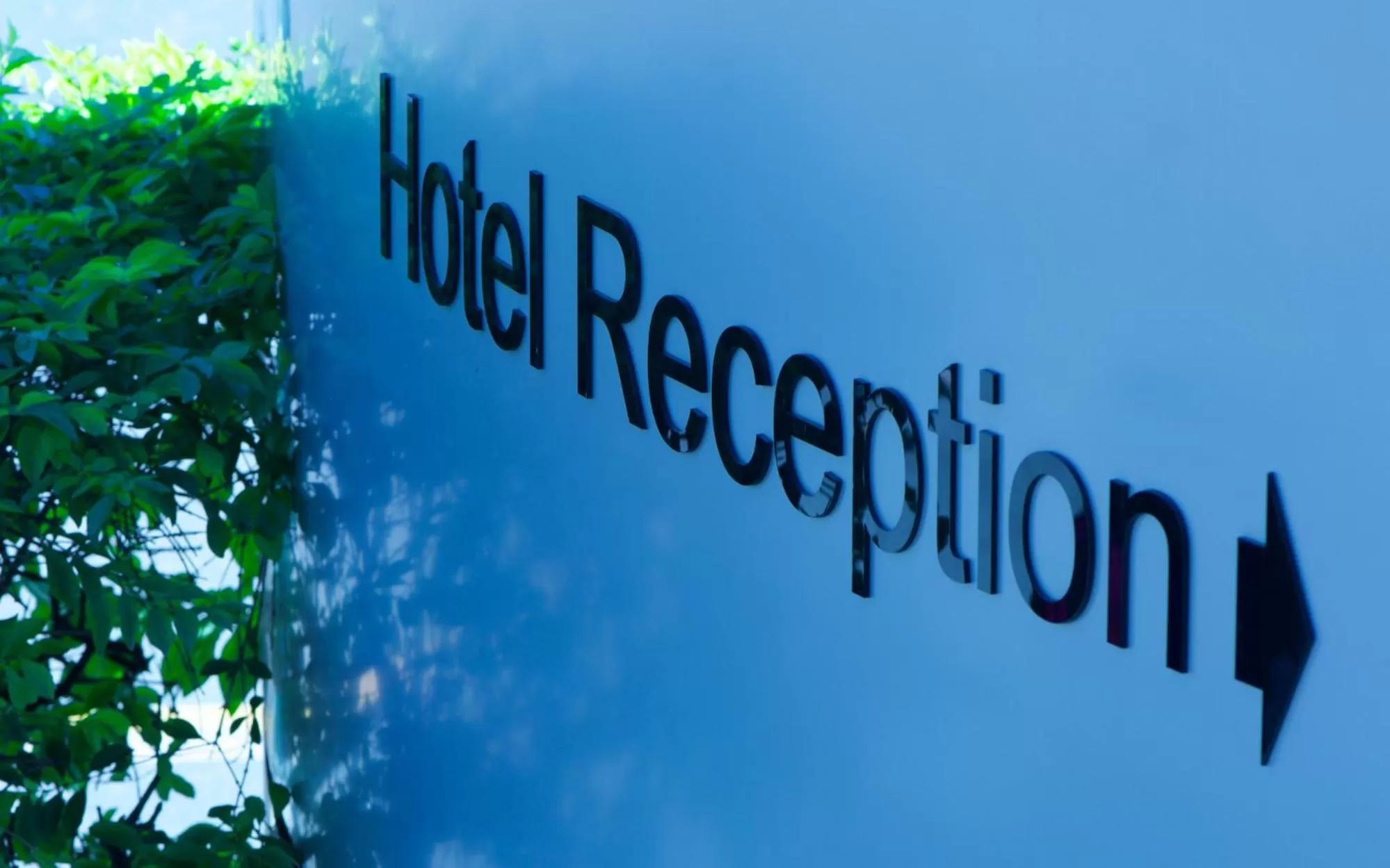 Property logo or sign in Soho Brisbane