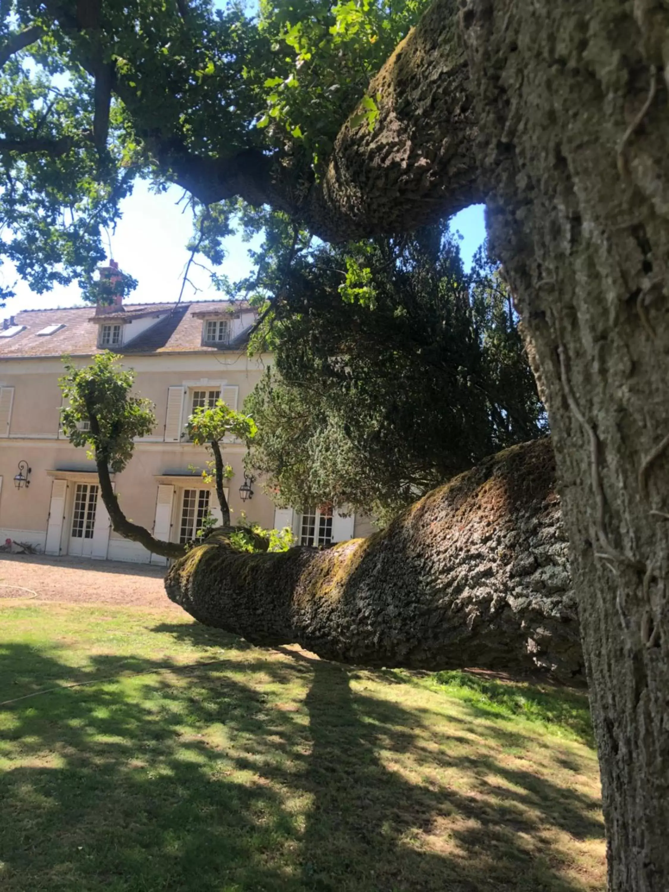 Garden in La plaine de l'Angelus