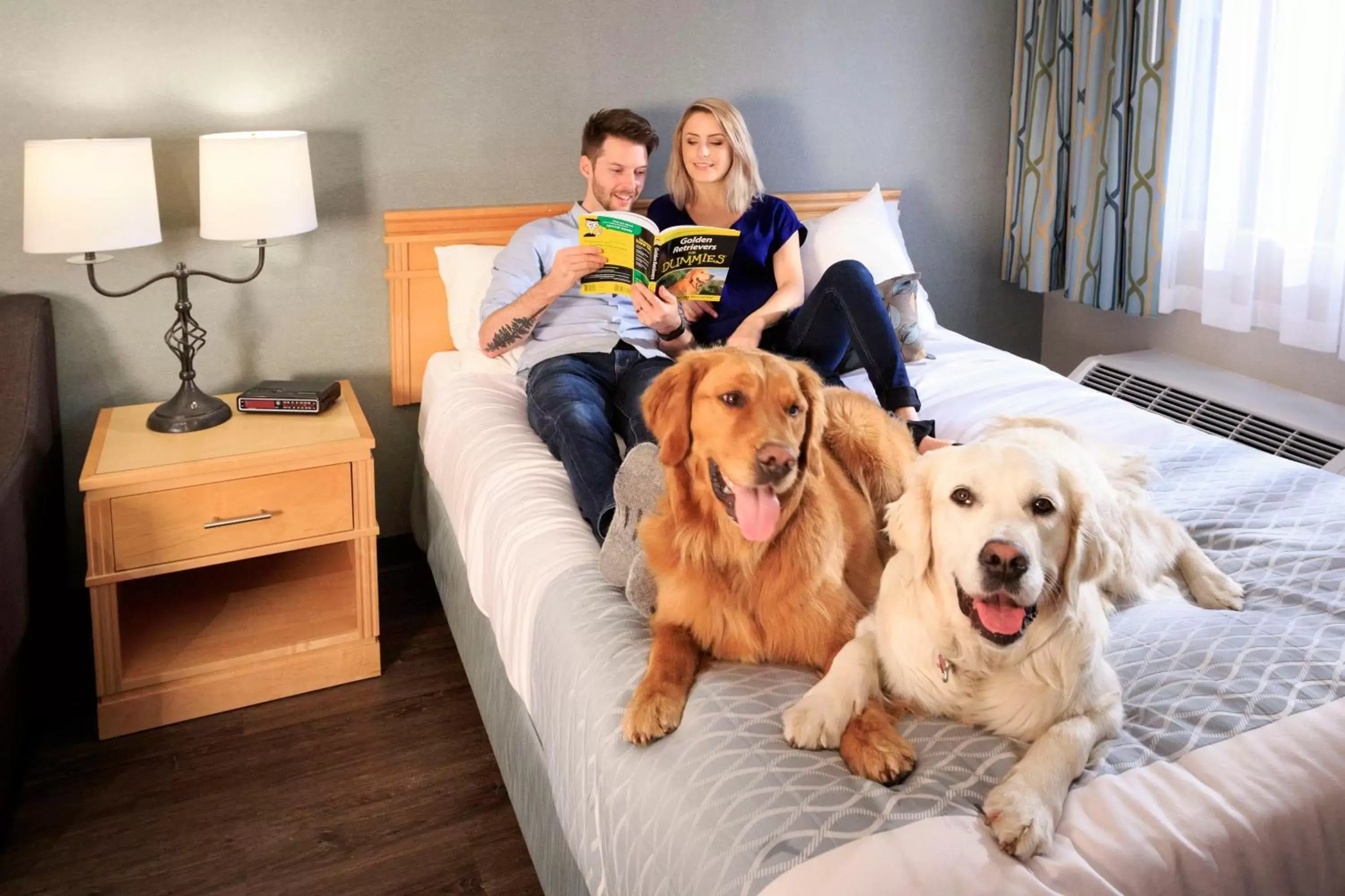 Pets in Accent Inns Vancouver Airport