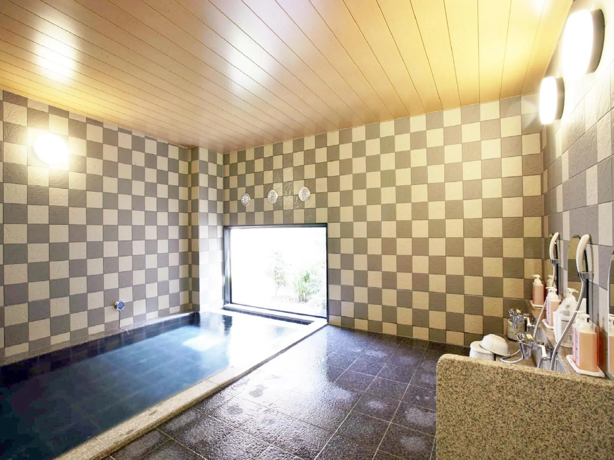 Other in Hotel Route-Inn Hamanako