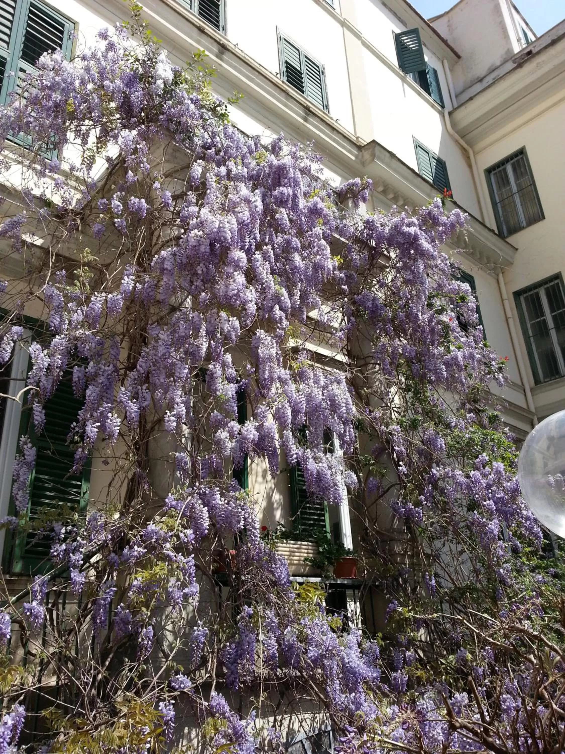 Day in Hotel Villa Aricia