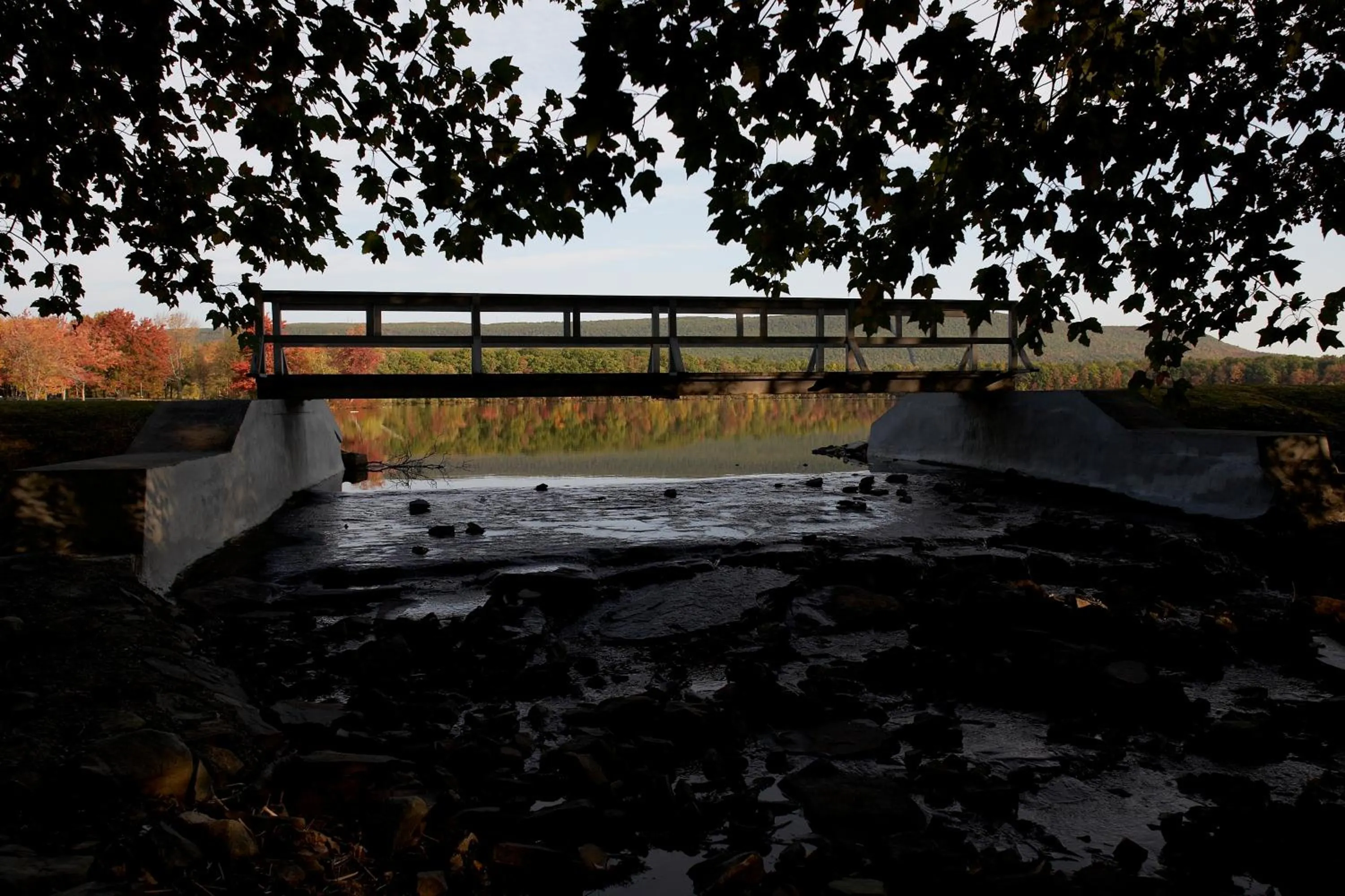 Natural landscape in Mountain Springs Lake Resort