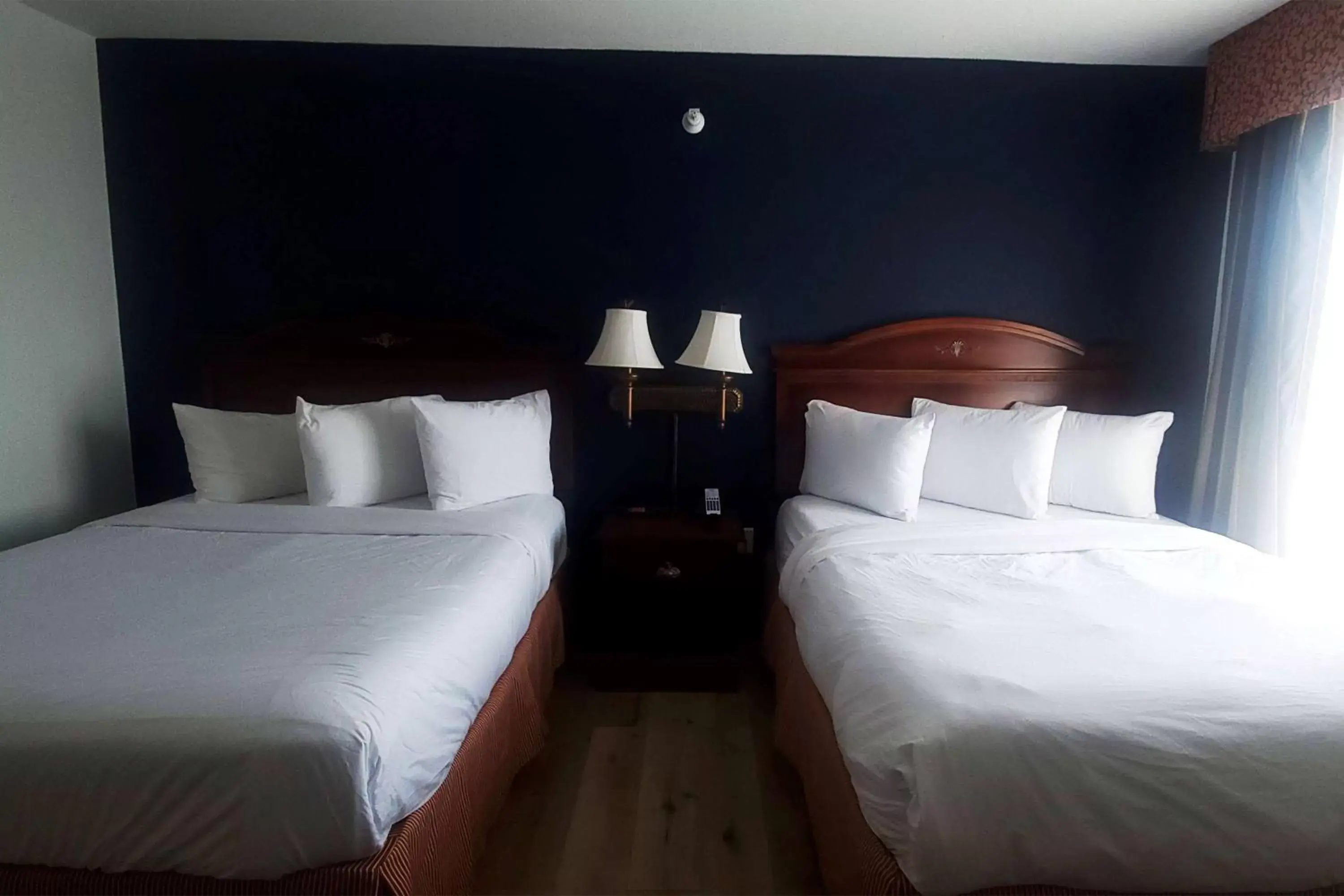 Photo of the whole room, Bed in Wingate by Wyndham Youngstown - Austintown