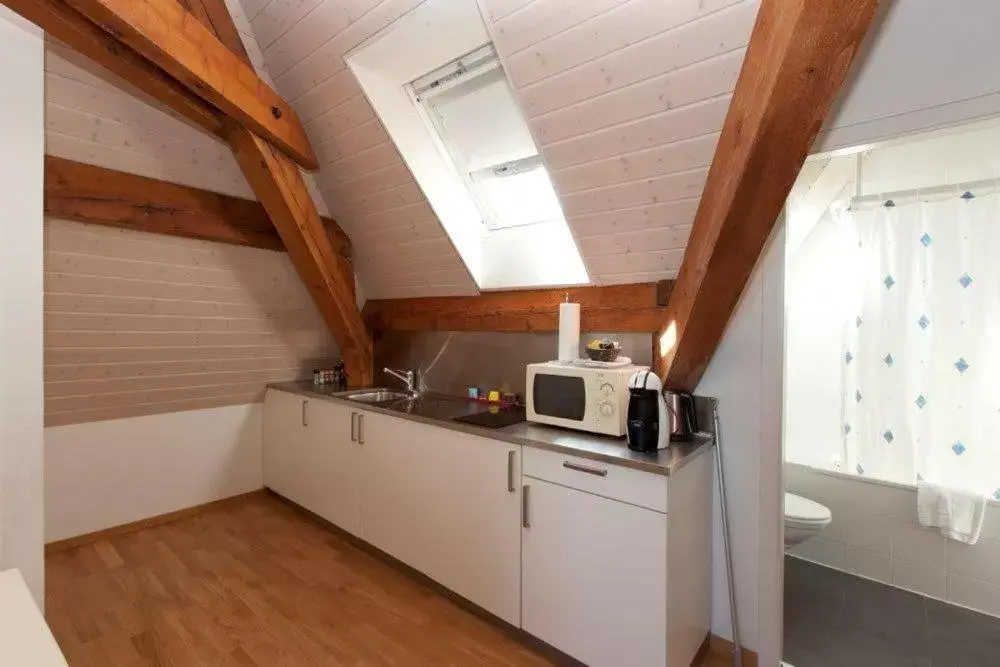 Bathroom, Kitchen/Kitchenette in Hotel Central