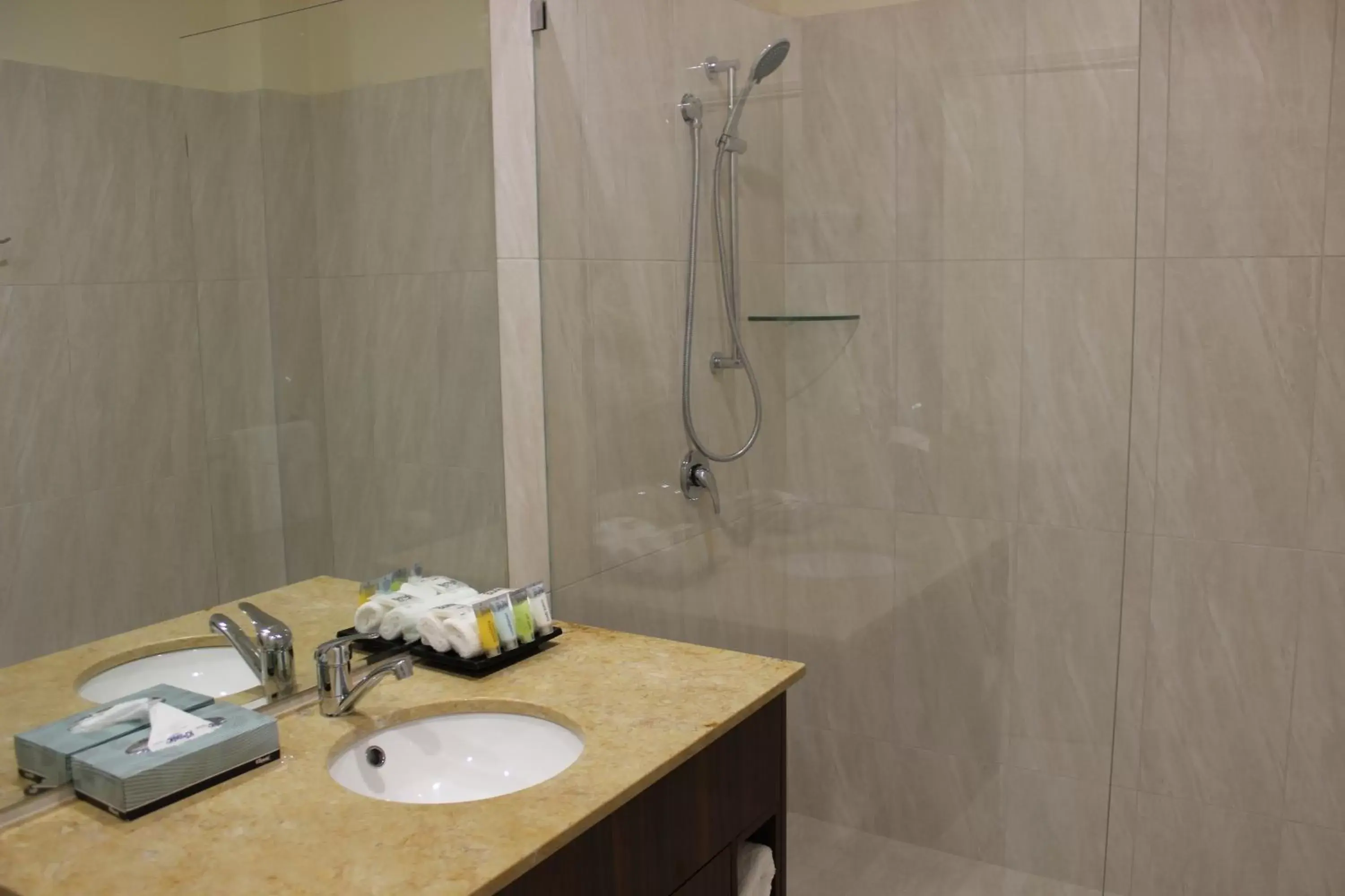 Bathroom in Quality Hotel Regent Rockhampton