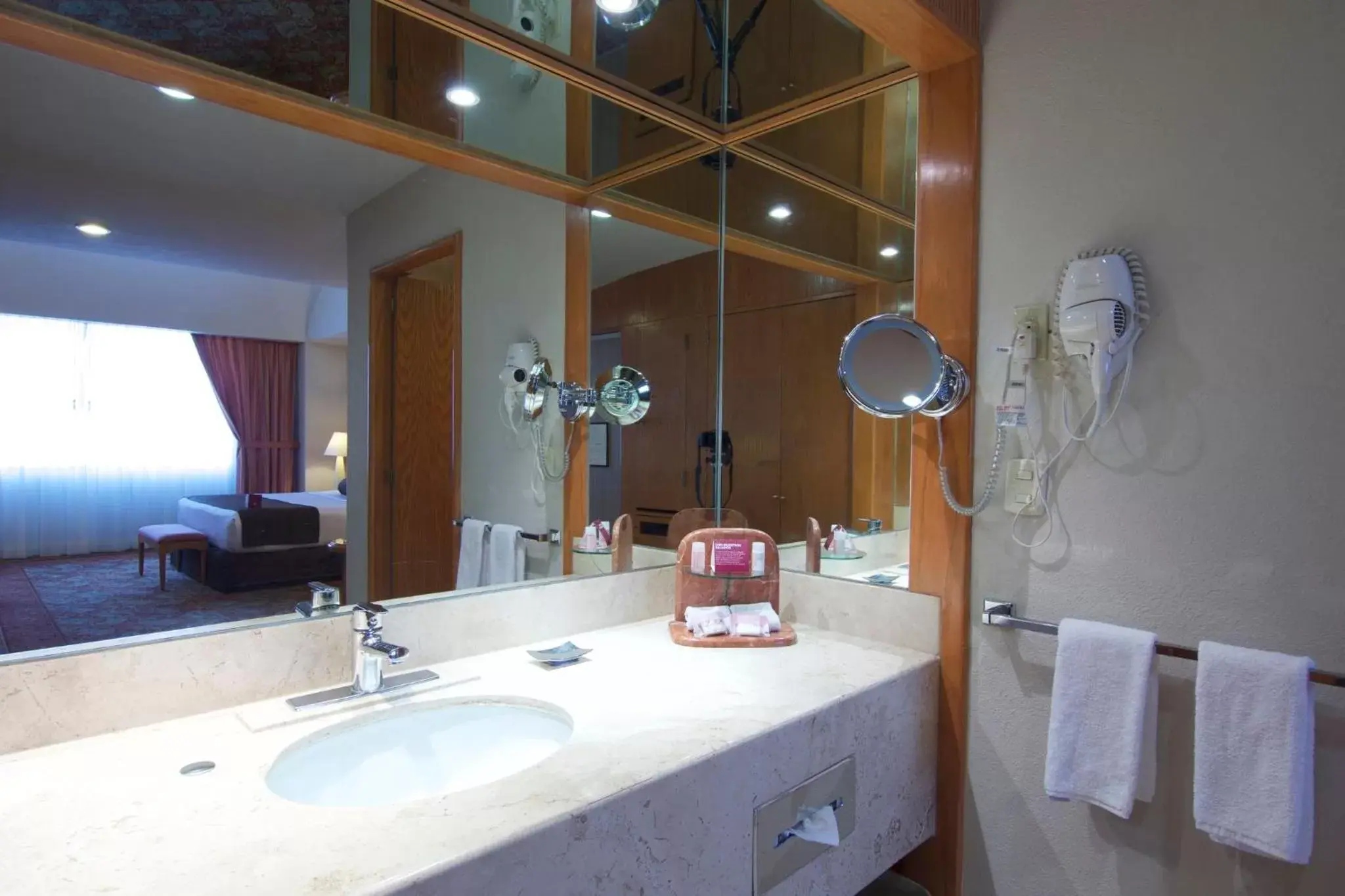 Bathroom in Crowne Plaza Hotel Mexico City North-Tlalnepantla, an IHG Hotel