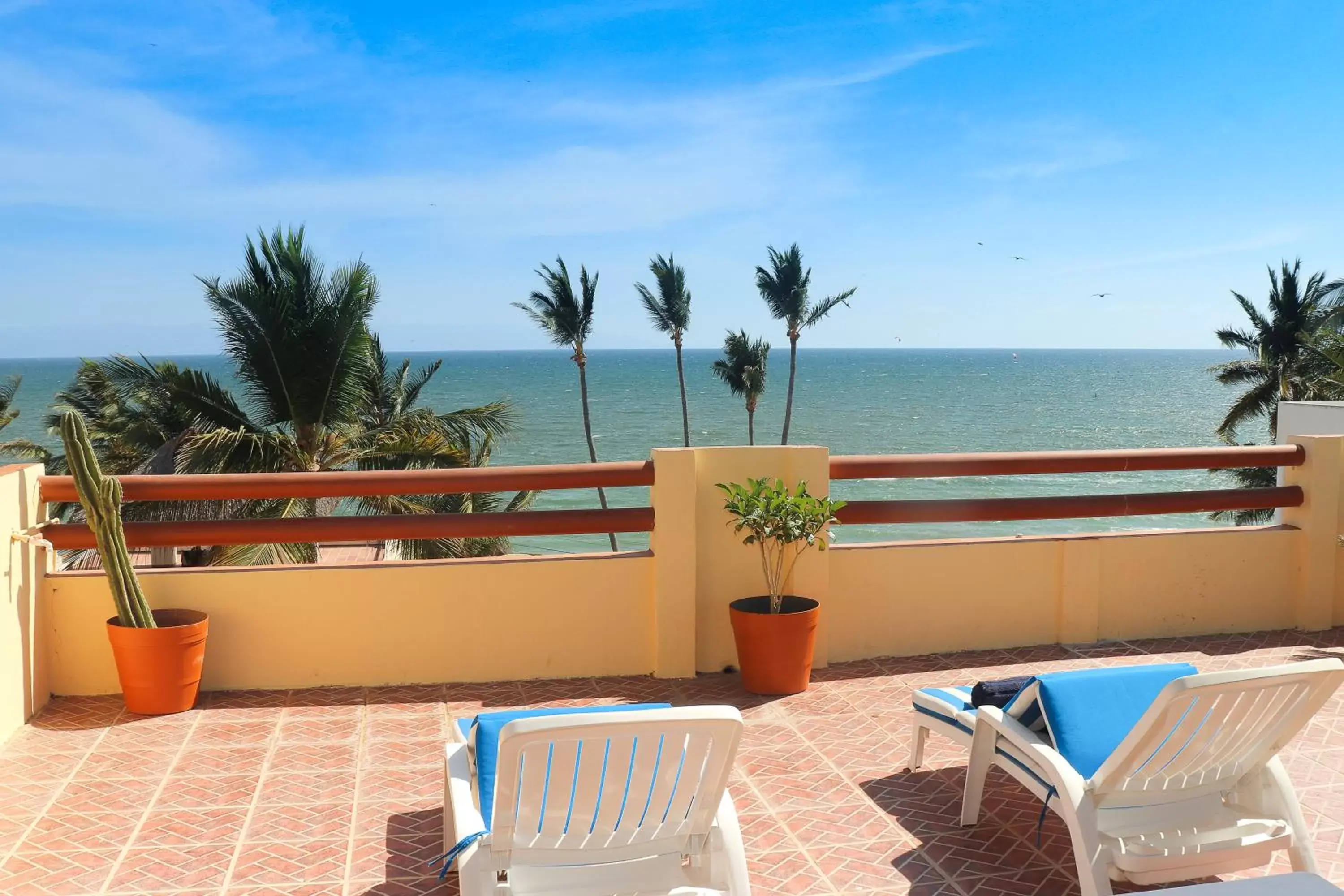 Balcony/Terrace in Hotel Palmeras