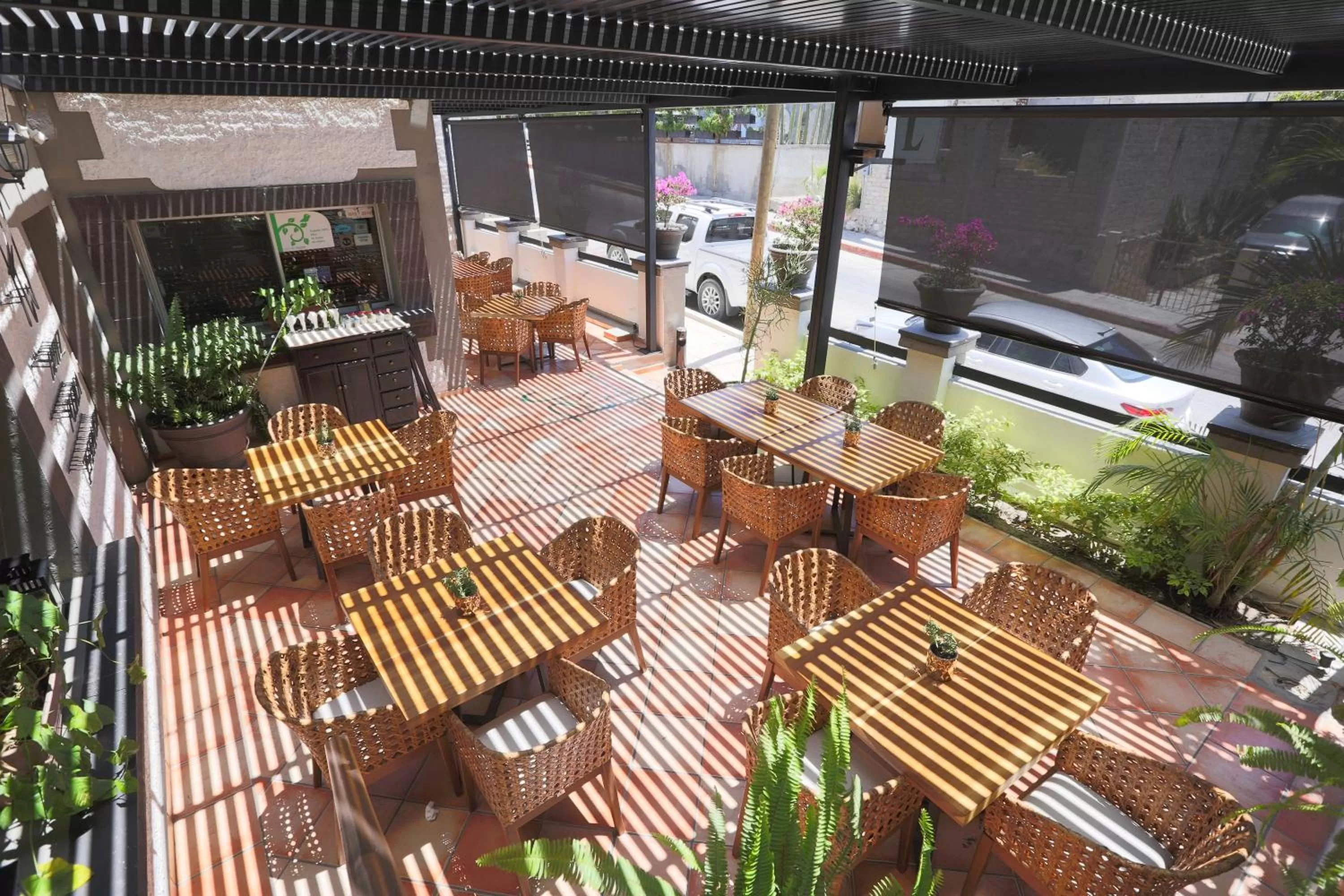 Restaurant/places to eat in Hotel Posada Terranova