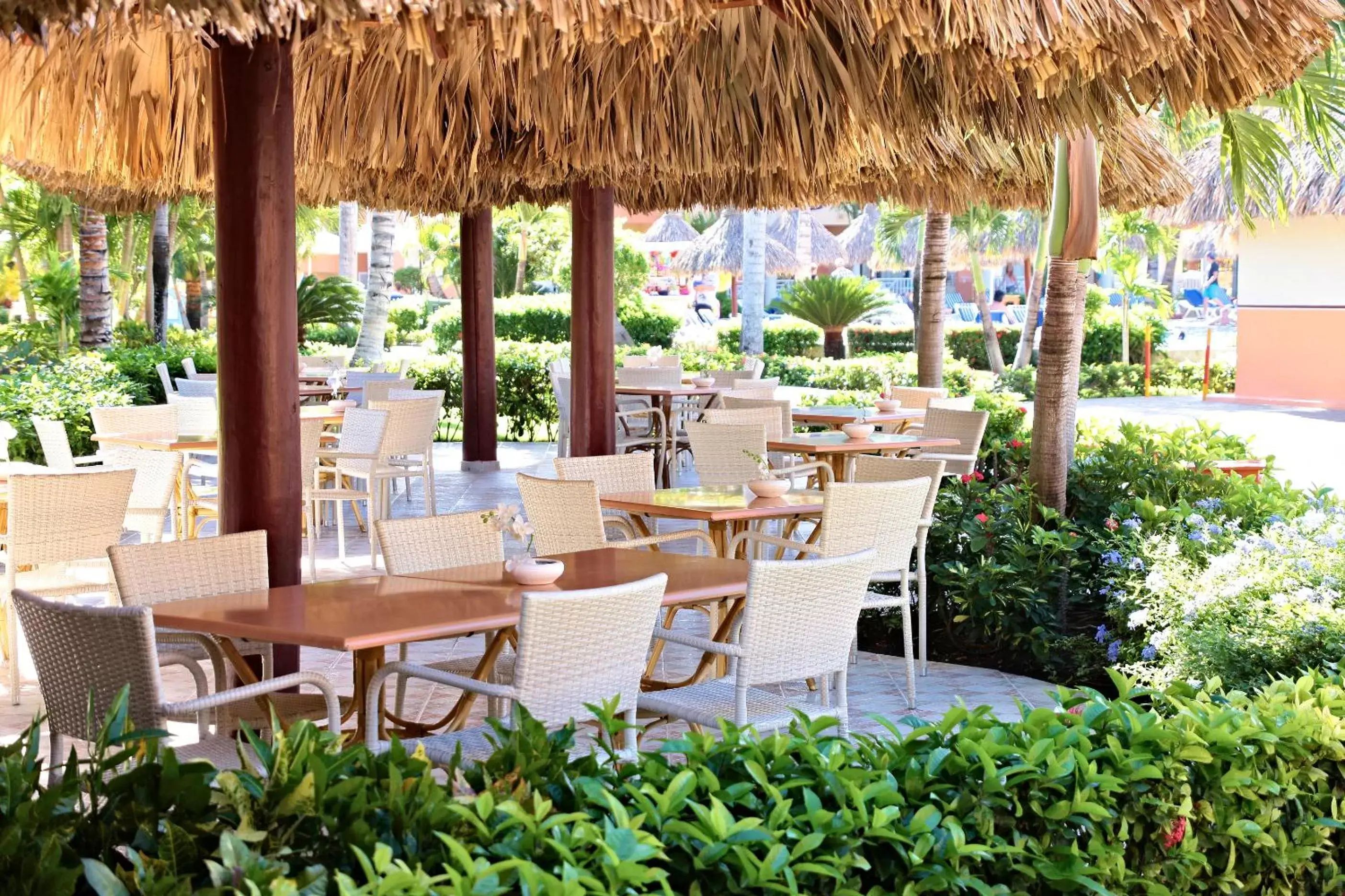 Garden, Restaurant/Places to Eat in Bahia Principe Grand Turquesa - All Inclusive