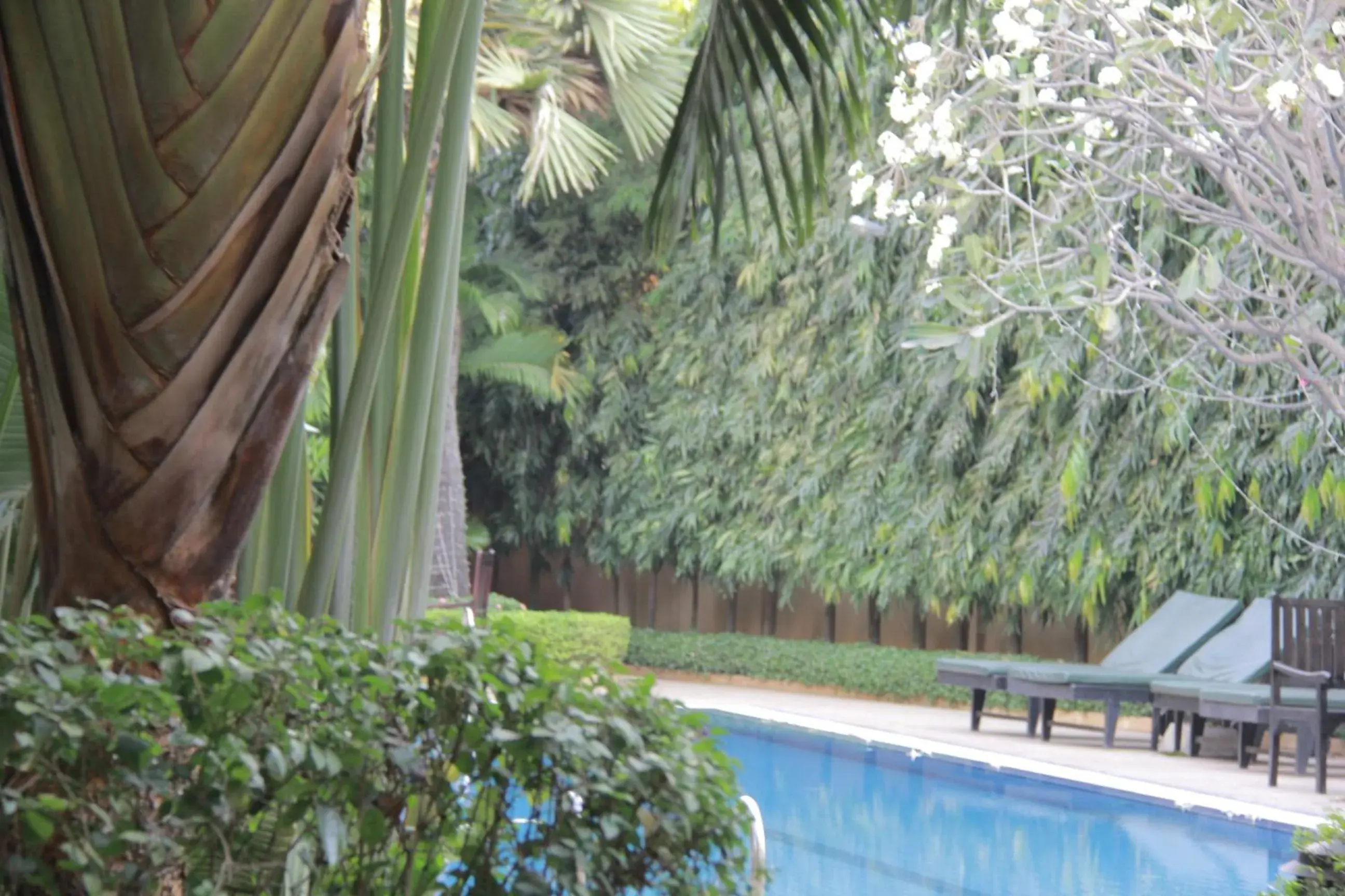 Garden view, Swimming Pool in Starry Angkor Hotel