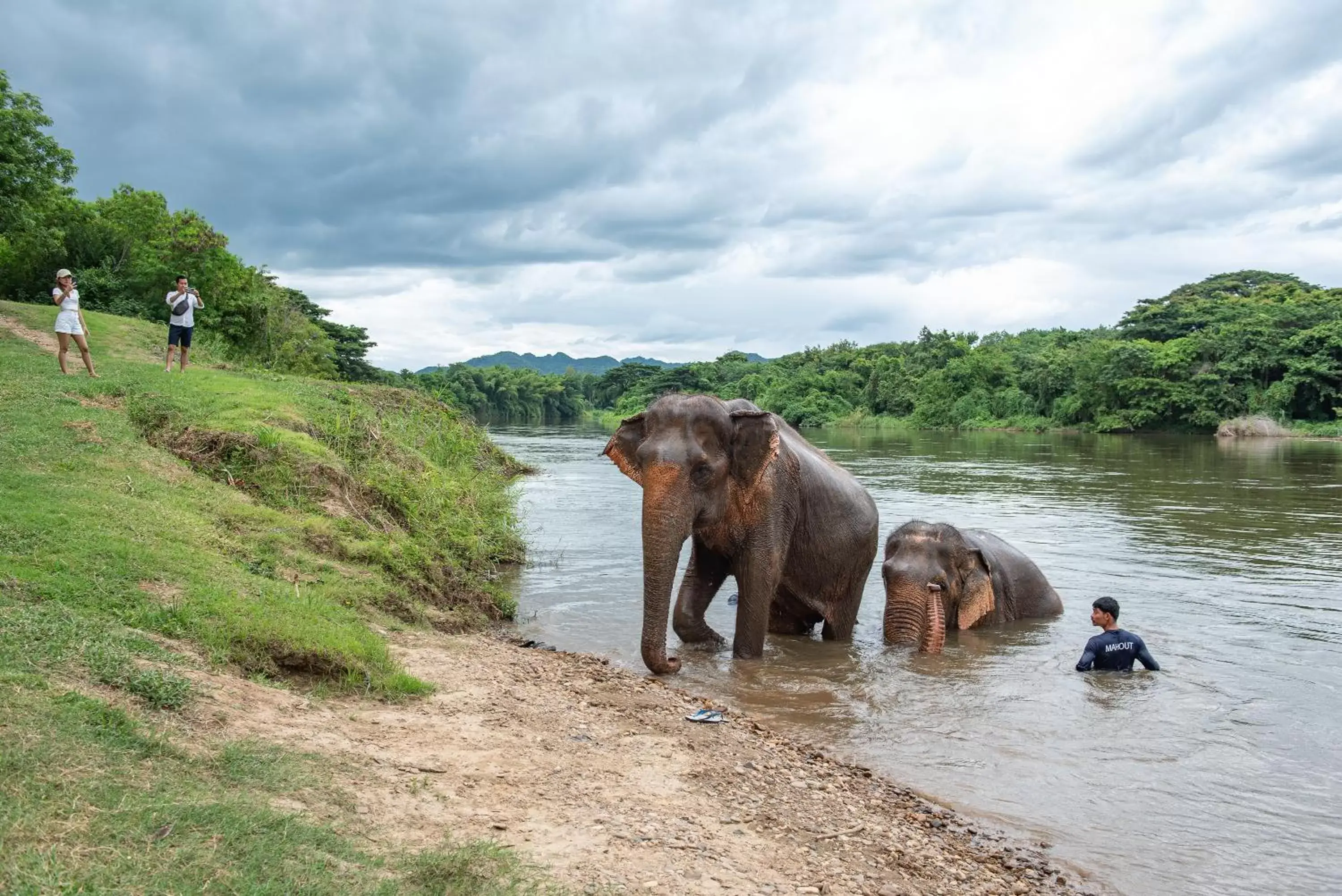 Activities, Other Animals in The Legacy River Kwai Resort
