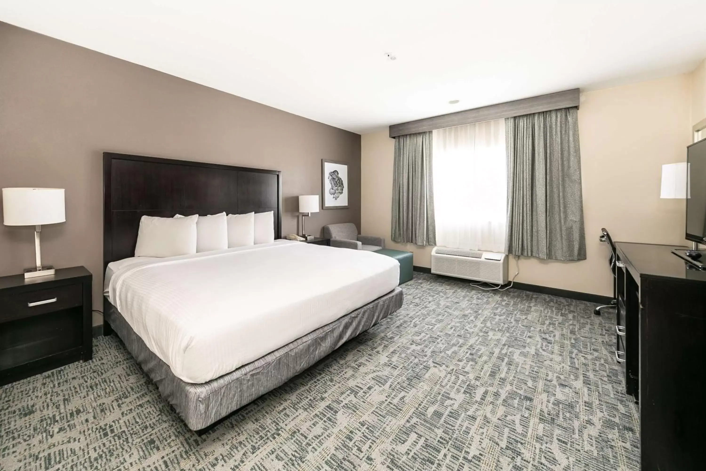 Bedroom, Bed in Best Western Inn & Suites San Diego Zoo -SeaWorld Area