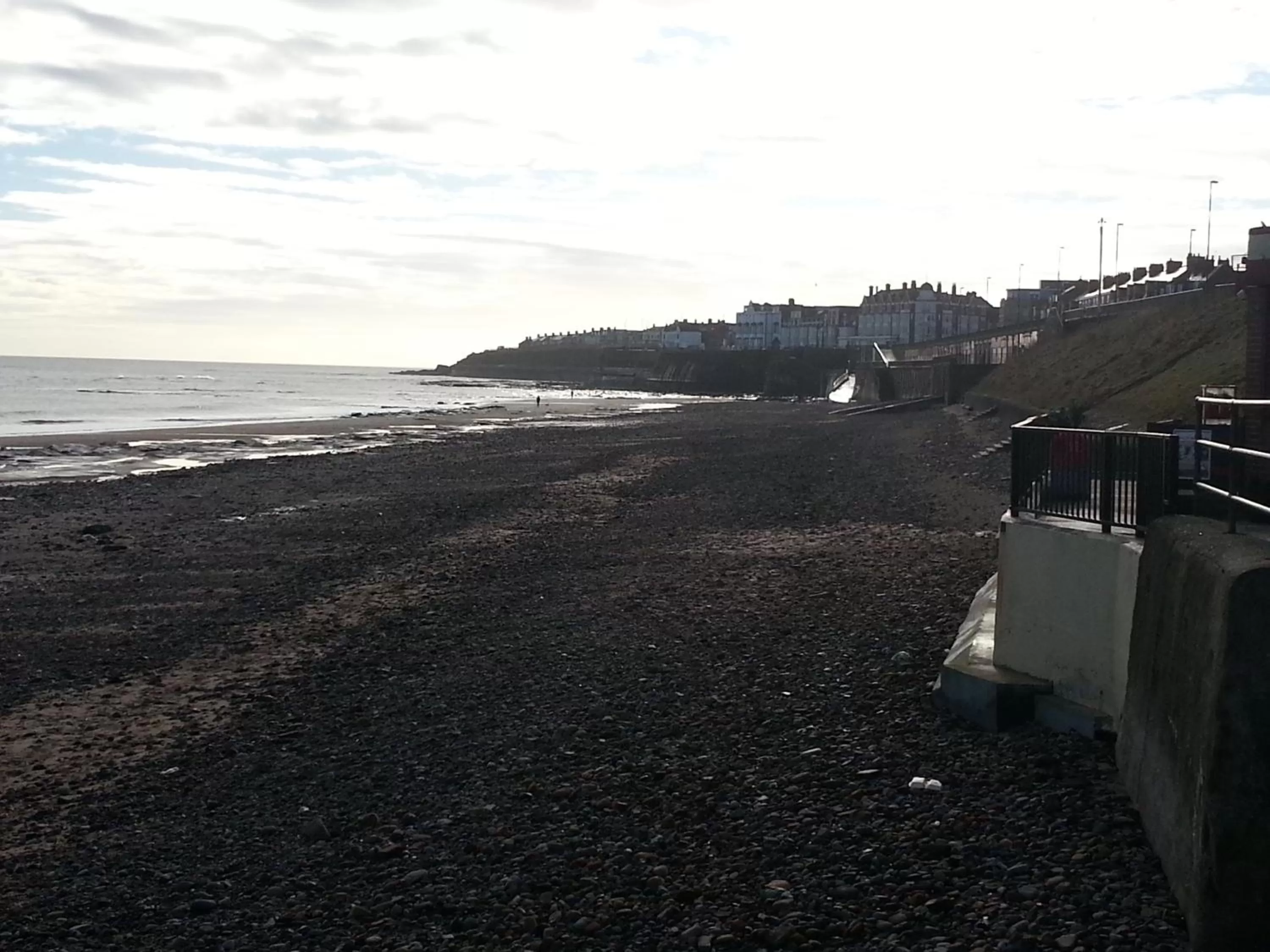 Natural landscape in The Windsor Hotel