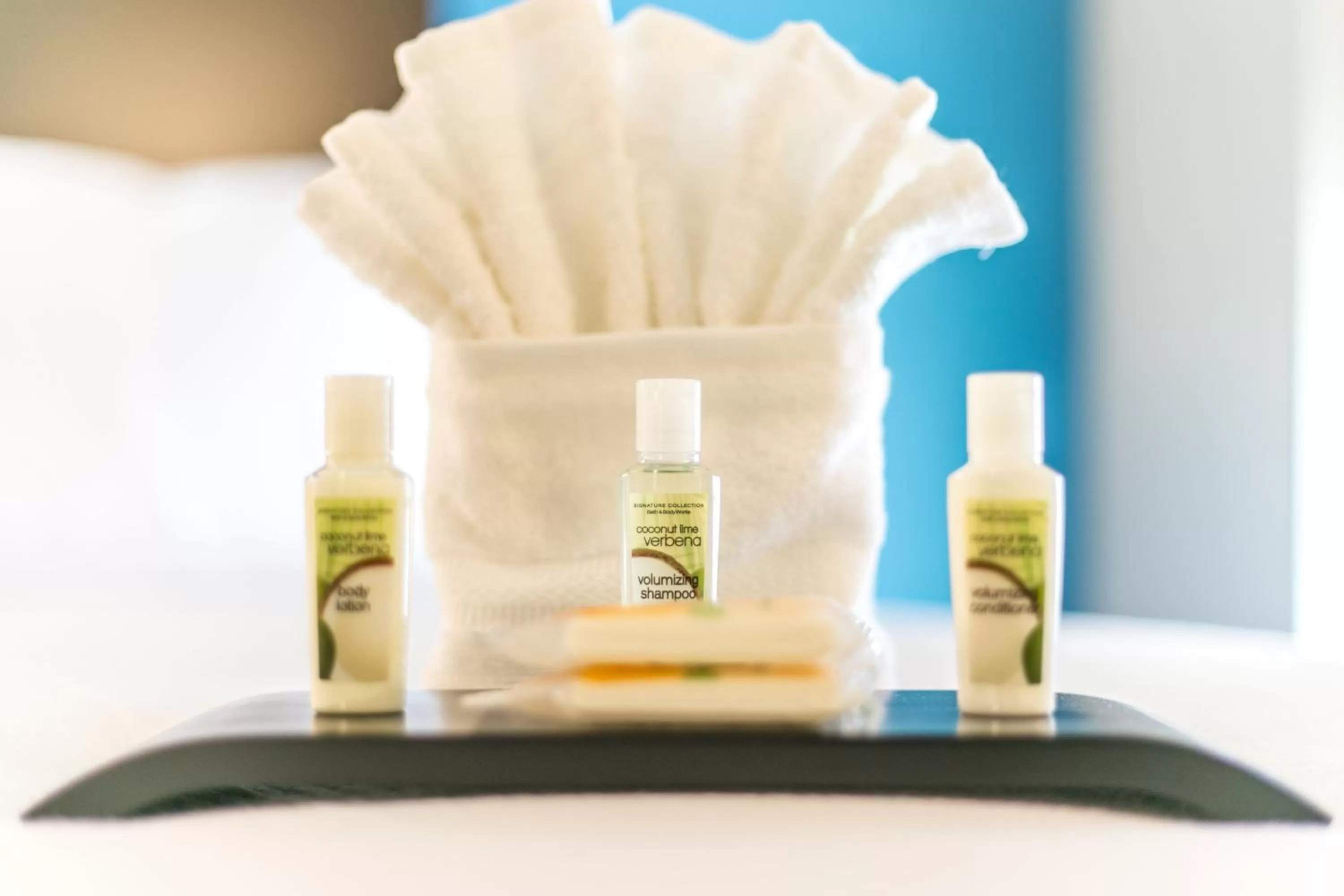 towels in Holiday Inn Hotel & Suites Chattanooga by IHG