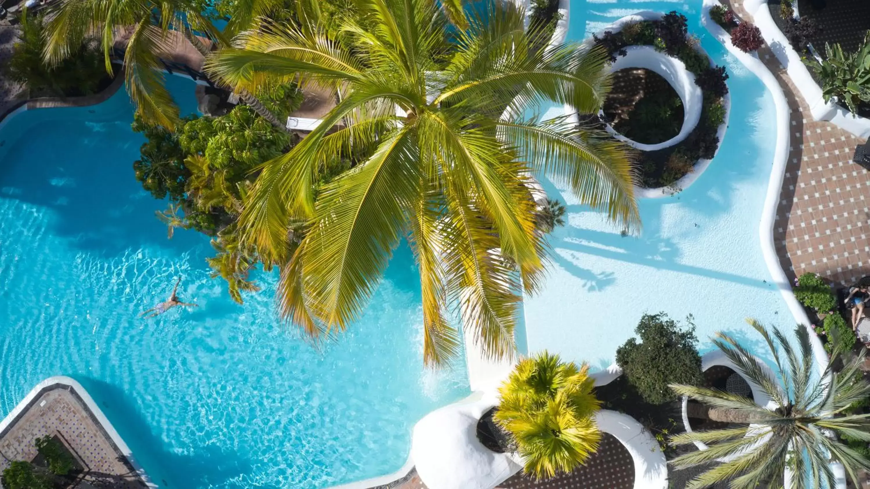 Bird's eye view, Swimming Pool in Dreams Jardin Tropical Resort & Spa